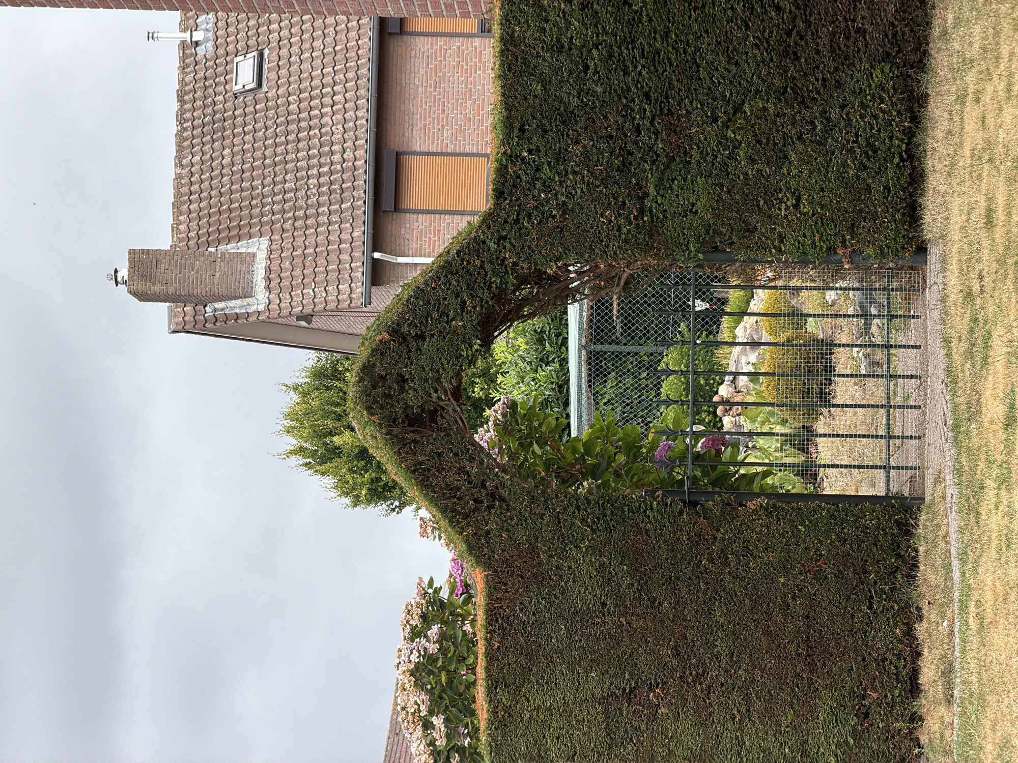 The image depicts a garden gate set within a meticulously trimmed hedge in the city of Melick, Netherlands. The hedge forms an archway over the gate, which is made of black metal bars. Beyond the gate, a glimpse of the garden reveals more greenery and some decorative elements, including rocks and what appear to be small plants. In the background, a brick house with a tiled roof is visible, featuring terracotta-colored window shutters. The sky above is overcast and gray. The foreground shows dry, yellowed grass.