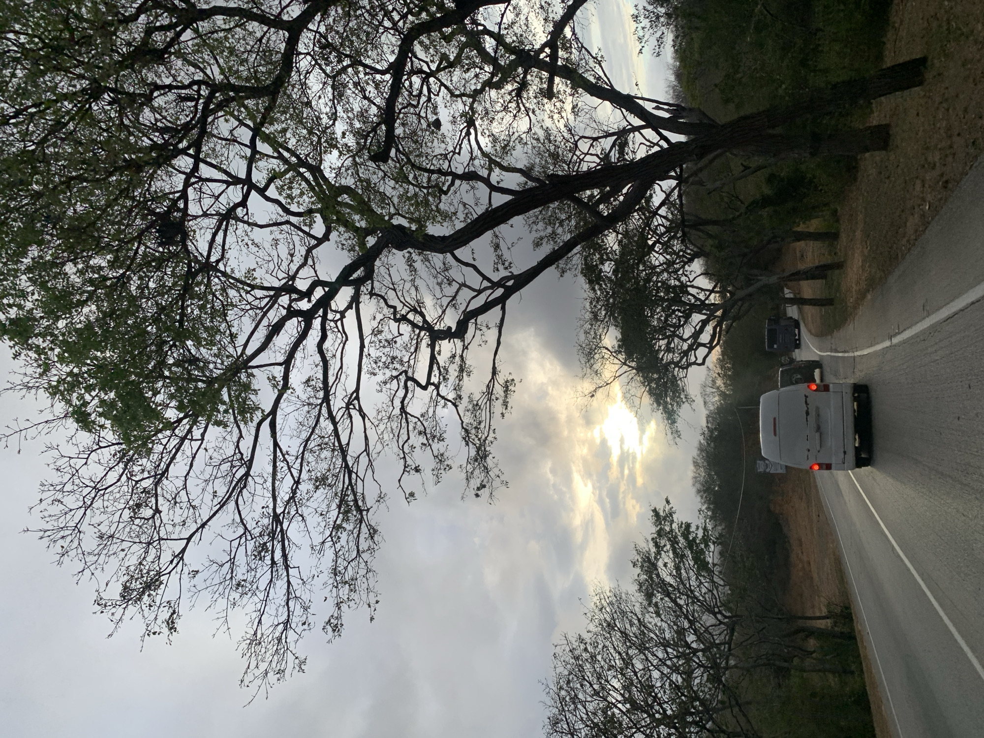 The image depicts a road in La Asuncion, Venezuela, lined with trees that form a canopy overhead. The sky is overcast with a break in the clouds allowing sunlight to penetrate. A white van with illuminated tail lights is traveling on the road, followed by a dark colored vehicle. The road has a white dividing line, and the surrounding landscape is dry and wooded.