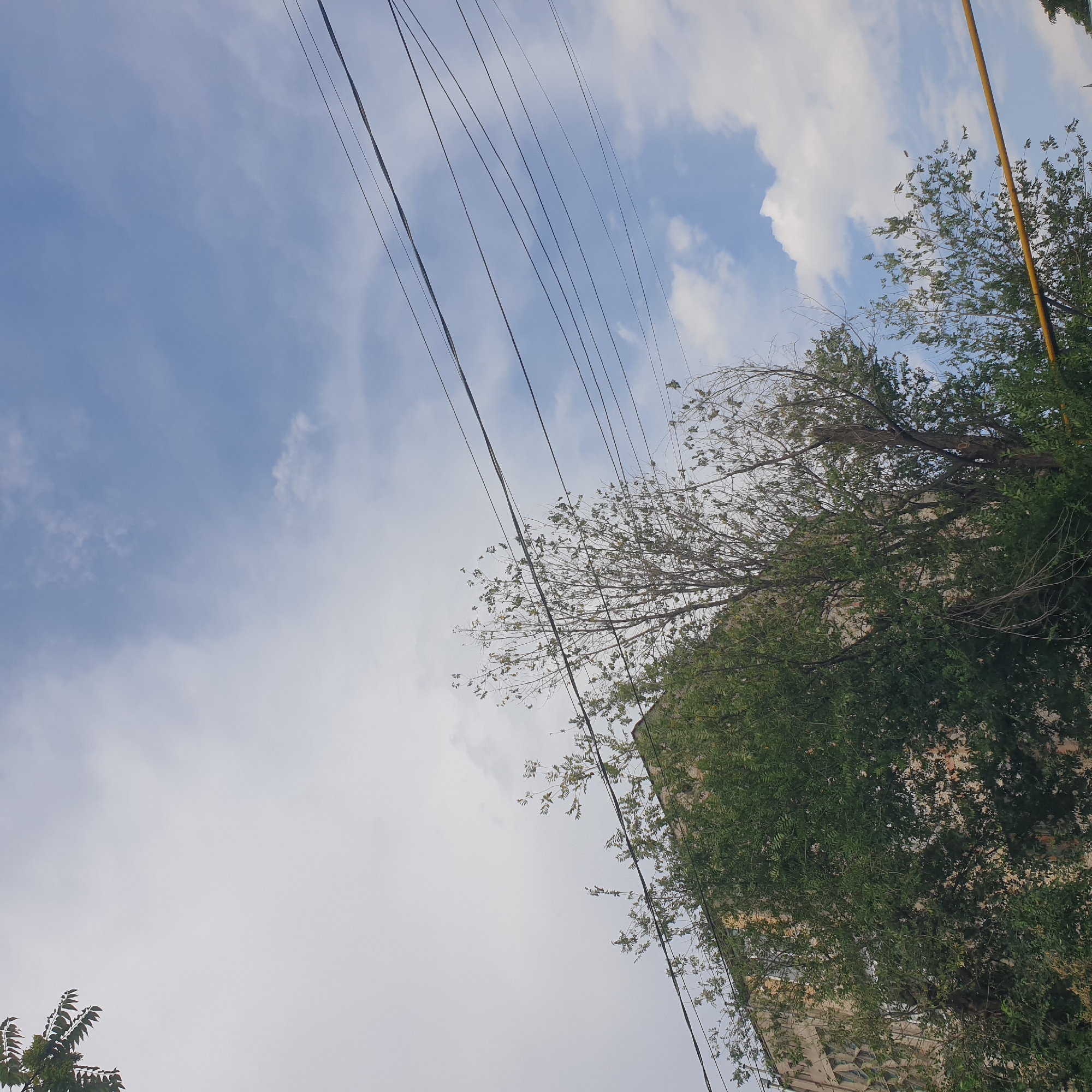 The image shows a view of a building and trees against a sky with clouds. In the foreground, there are several power lines running diagonally across the frame. A portion of a building, likely an apartment block, is visible on the left side, partially obscured by lush green trees. The building appears to have a light-colored facade and windows. To the right of the building, a tree with sparser foliage and bare branches is prominent. The sky is a mix of blue and white, with scattered clouds. A yellow pipe runs horizontally across the lower right portion of the image. The scene is likely from Shymkent, Kazakhstan, given the context. No people are visible in the image.