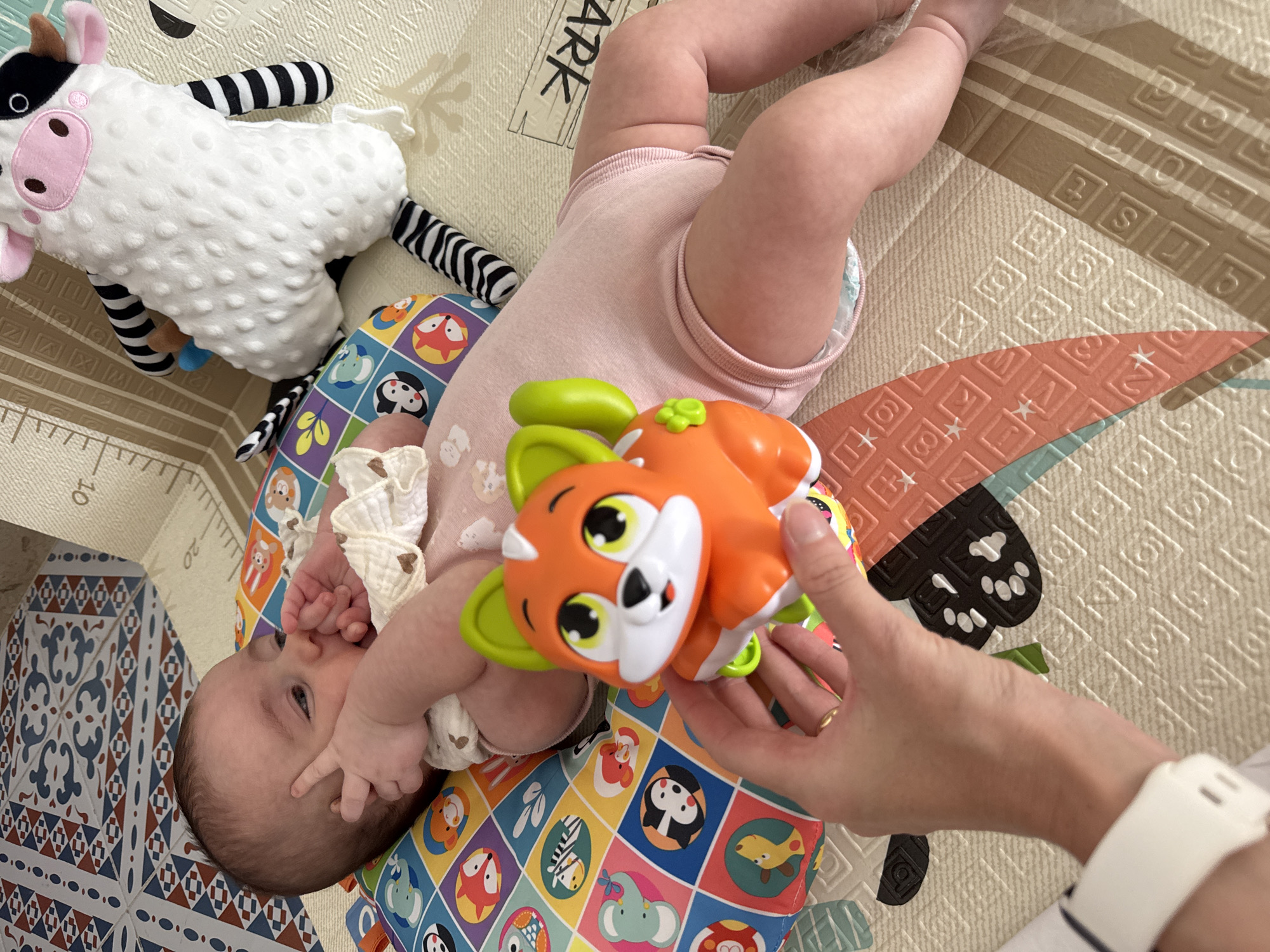 The image shows a baby lying on a play mat, with a toy fox in the foreground being held by a person's hand. The baby is wearing a pink onesie and is positioned on a colorful mat with various animal illustrations. A plush cow toy is also visible near the baby. The play mat is placed on a larger mat with a textured pattern. The background shows a part of a patterned floor covering. No specific location in the city of Isola delle Femmine, Italy, can be identified from the image.