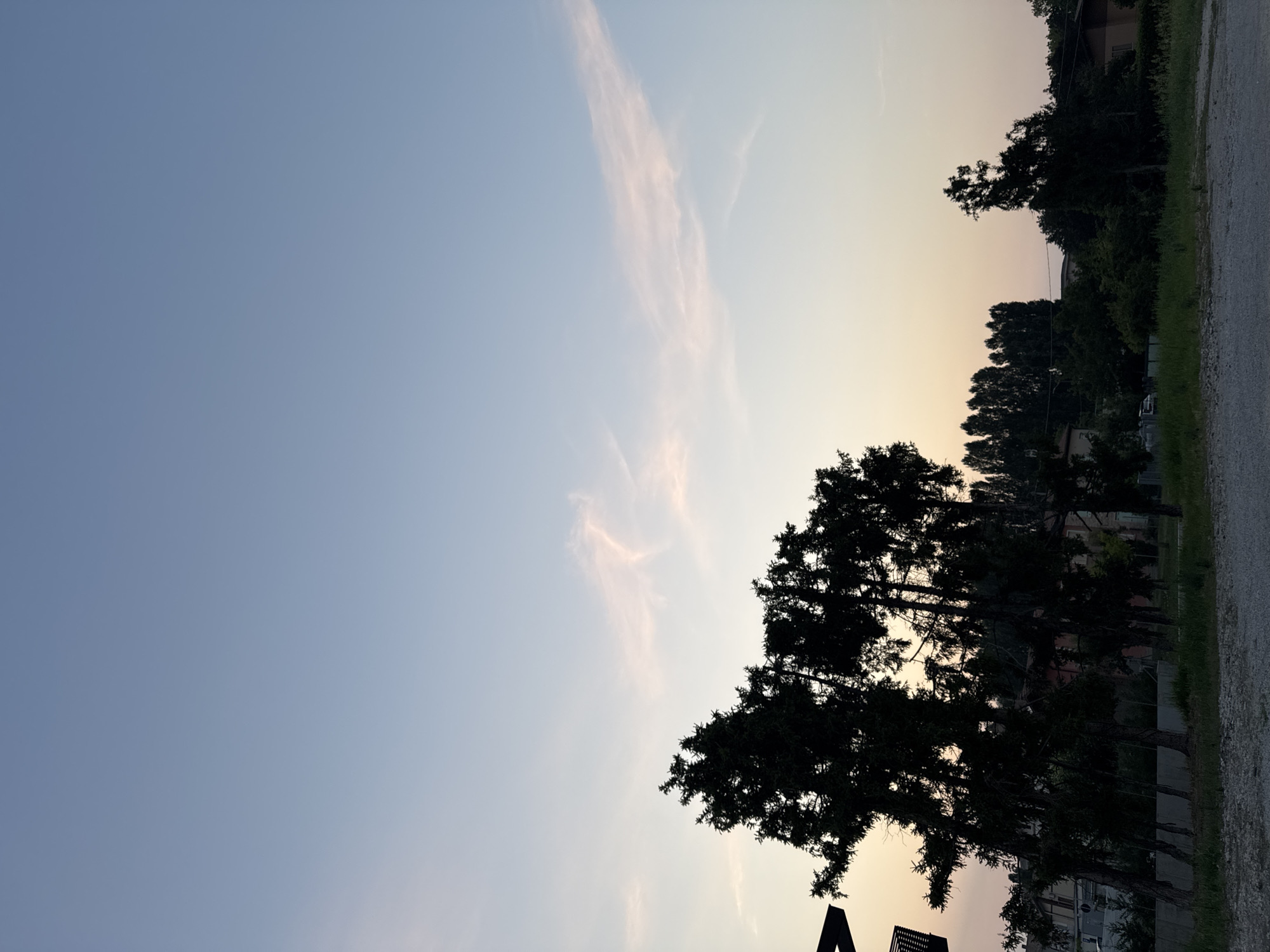 The image shows a silhouetted view of trees against a pale blue and pink sky at dusk. In the foreground, there is a gravelly area. Behind the trees, there are glimpses of buildings and a line of taller trees. A thin, wispy pink cloud is visible in the sky. The overall scene suggests a quiet evening in a semi-urban or rural setting. The location is identified as Mejaniga, Italy.