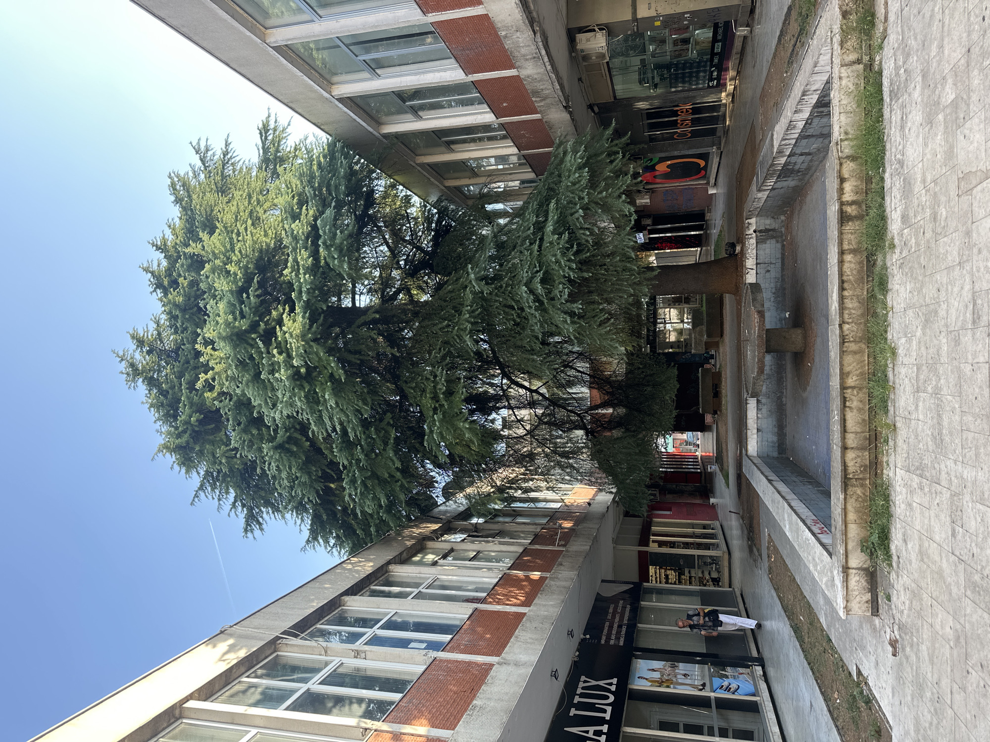 The image shows a view of the marketplace in Podgorica, Montenegro. In the center of the image is a large, mature tree with dense foliage. In front of the tree, there is a rectangular, empty fountain with a stone table in the middle. The fountain is surrounded by a tiled walkway. On either side of the tree and fountain, there are two-story buildings that appear to be shops or businesses. The buildings have large windows and are constructed with a combination of concrete, brick, and light-colored tile. One of the shops on the left side has a sign that reads "A LUX". A person wearing a white shirt and dark pants is walking on the left side of the walkway. The sky is clear and blue, with a faint contrail visible in the upper left corner. The overall scene suggests an outdoor public space with commercial activity.