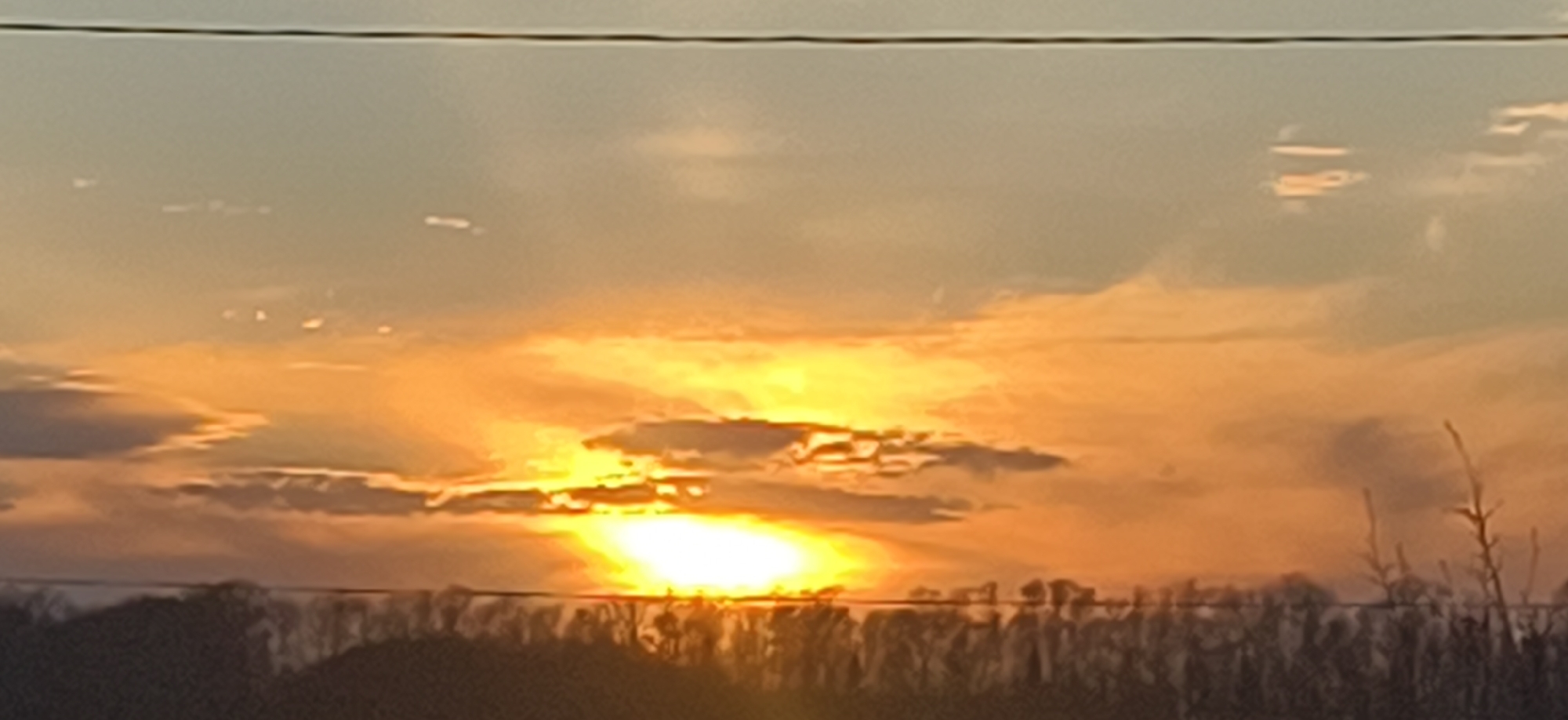 The image shows a sunset with a bright yellow sun partially obscured by clouds. The sky is a mix of orange, yellow, and pale blue. A thin black wire is visible across the top of the frame. In the foreground, there is a silhouette of trees and shrubs. The image was not taken in the city of Фоки, Russia.