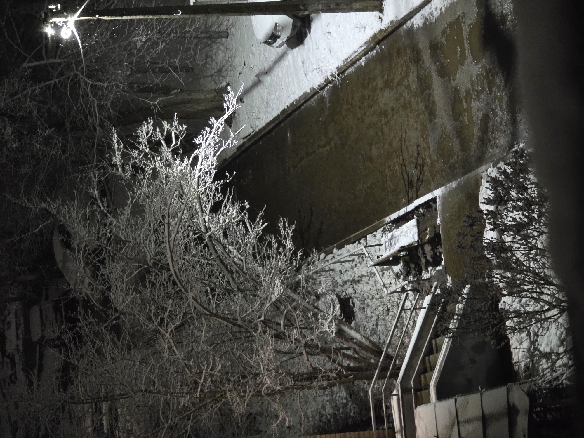 The image, taken at night in what appears to be winter, shows a street scene in Chaikovsky, Russia. A street light illuminates snow-covered trees in the foreground. Behind the trees, a bridge or elevated road structure is visible, also covered in snow. A car is parked on the snow-covered street. A staircase leads up to the elevated structure, its steps coated in snow. The overall scene is dark, with the street light providing the primary source of illumination.