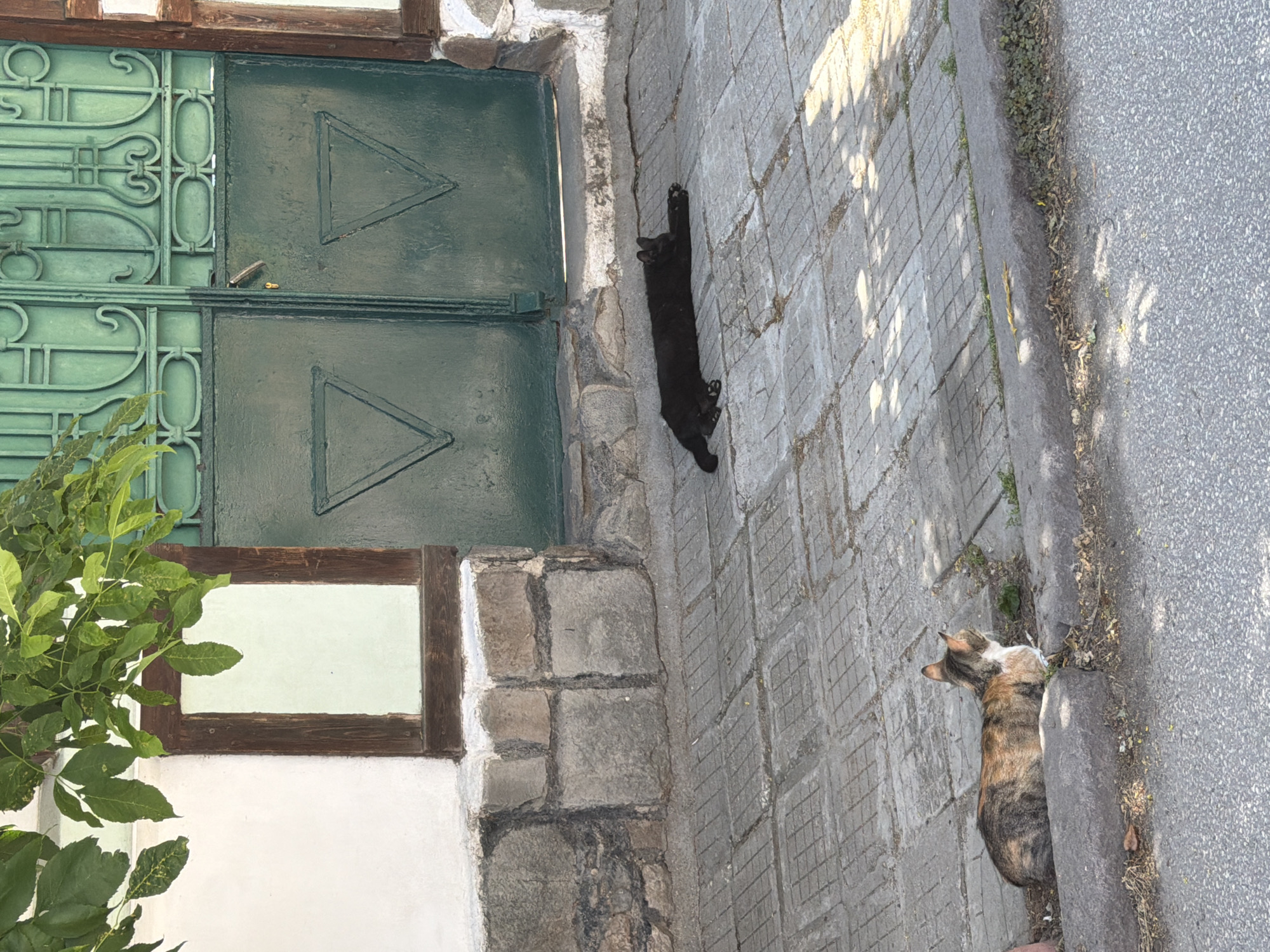 Two cats are visible in this outdoor scene. One is a black cat stretched out on a textured, light-colored stone surface, its body elongated as if relaxing. The other cat, a calico with patches of brown, black, and white, is partially obscured, peeking out from behind a gray stone curb along an asphalt road.
The setting appears to be a street or pathway adjacent to a building. The building features a large, dark green door with decorative metalwork and triangular patterns. To the left of the door, a window with a wooden frame is visible, and lush green foliage spills into the frame from the left side of the image. The ground is paved with square, textured tiles, and a portion of an asphalt road is on the right. The scene is bathed in sunlight, casting distinct shadows from the foliage and the building onto the paved surface, suggesting it is daytime. The overall impression is a quiet, perhaps Mediterranean or Balkan, street scene. No text is visible in the image.