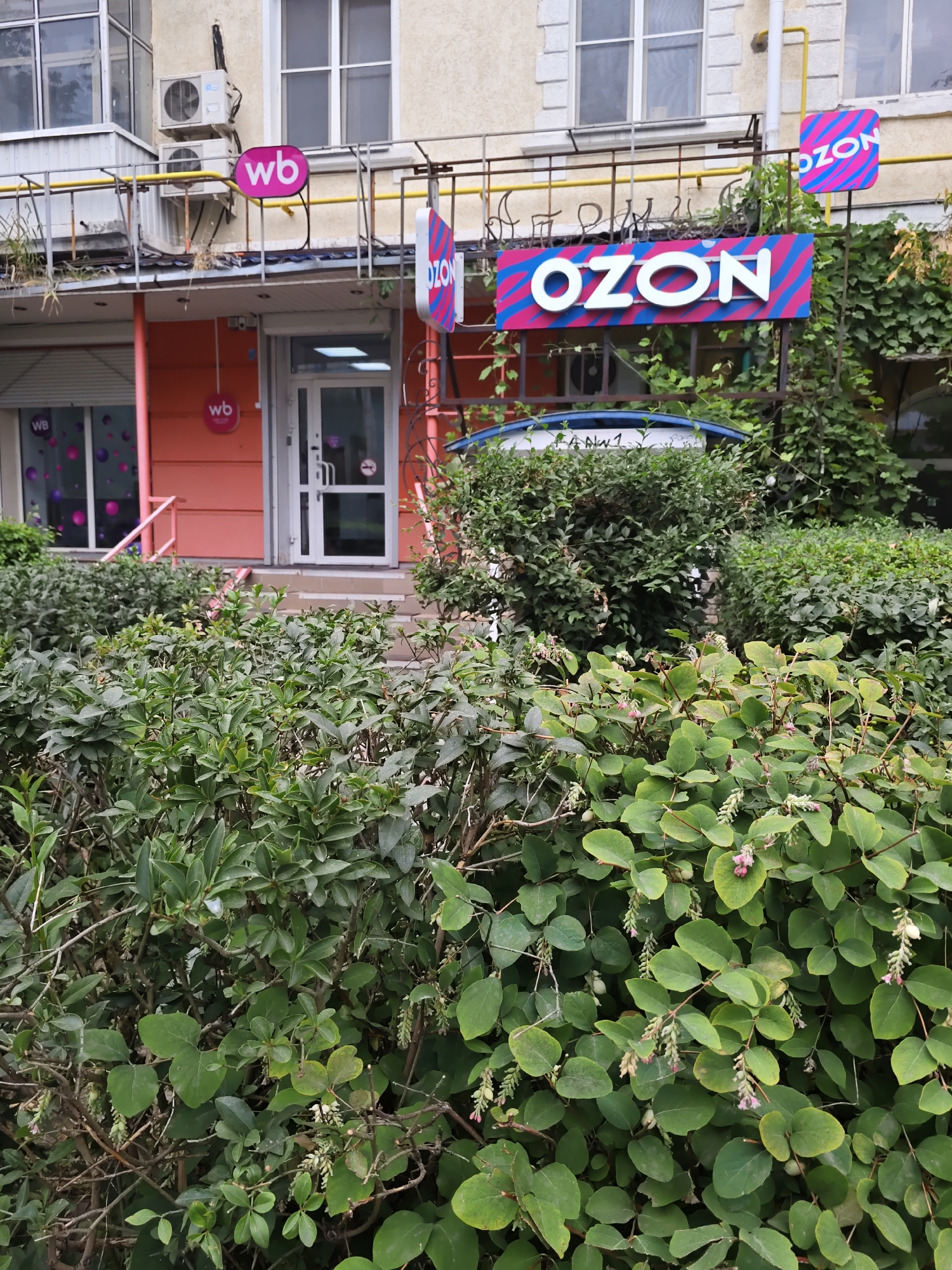 The image captures the exterior of a retail establishment in Rostov-on-Don, Russia, featuring storefronts of "WB" and "OZON." The WB store, painted a salmon pink, has a glass door and windows decorated with circular graphics. Above the entrance, two air conditioning units are mounted on the building's facade. A prominent "OZON" sign with white lettering on a pink and blue striped background is displayed prominently, along with a smaller, vertically oriented "OZON" sign. A metal railing runs along the building's facade, and lush green bushes and vines partially obscure the lower levels of the structure. The overall scene suggests a commercial area with multiple businesses.