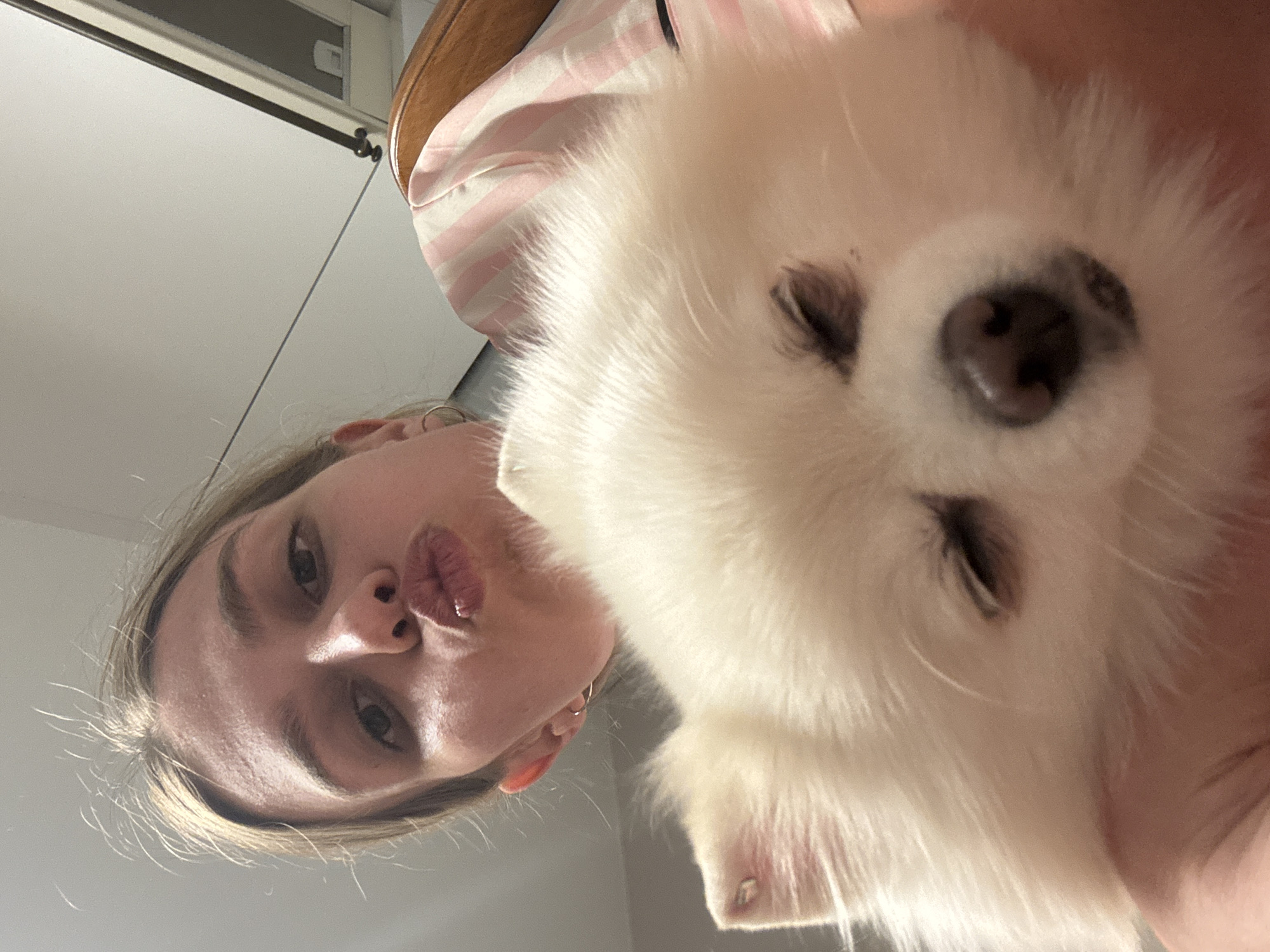 The image captures a close-up, slightly upward-angled view of a female individual and a small white dog in an indoor setting. The specific location in the city of Unknown, Unknown cannot be determined from the visual evidence.
The female subject, positioned in the upper portion of the frame, has light-colored hair and is looking directly at the camera with her lips pursed in a 'kissing' expression. She is wearing a light-colored garment with vertical pink stripes and small silver hoop earrings in both ears.
The central subject is a small, fluffy white dog, possibly a Pomeranian type, held by the female individual. The dog's eyes are closed or squinting, and its dark snout and nose are clearly visible. A portion of its ear, with pink skin, is visible on the left.
The background is largely out of focus, revealing a plain light-colored ceiling on the upper left. On the upper right, a dark-colored fixture, consistent with a curtain rod or similar mounting, is visible against a light wall, adjacent to a section of a curved wooden object, likely part of a chair or bed frame.