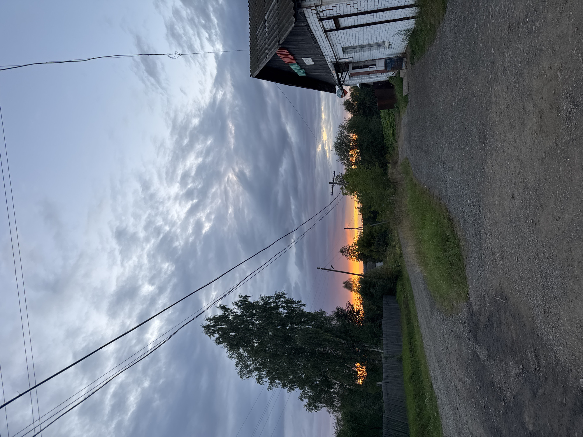 The image depicts a rural road scene in Borodulino, Russia, during sunset. A gravel road curves through the frame, with a wooden fence and lush green vegetation lining its left side. A tall birch tree stands prominently on the left. In the background, a cluster of trees is silhouetted against a sky with dramatic, cloudy formations. The setting sun casts an orange and yellow glow through the trees. On the right side of the image, a white brick building with a dark, sloping roof is visible. A sign with red lettering, "ПРОДУКТЫ ОКОЛО" (Products Nearby), is affixed to the upper facade of the building. The building appears to be a small shop or store. Overhead, power lines crisscross the sky. The overall impression is of a peaceful, twilight scene in a village setting.