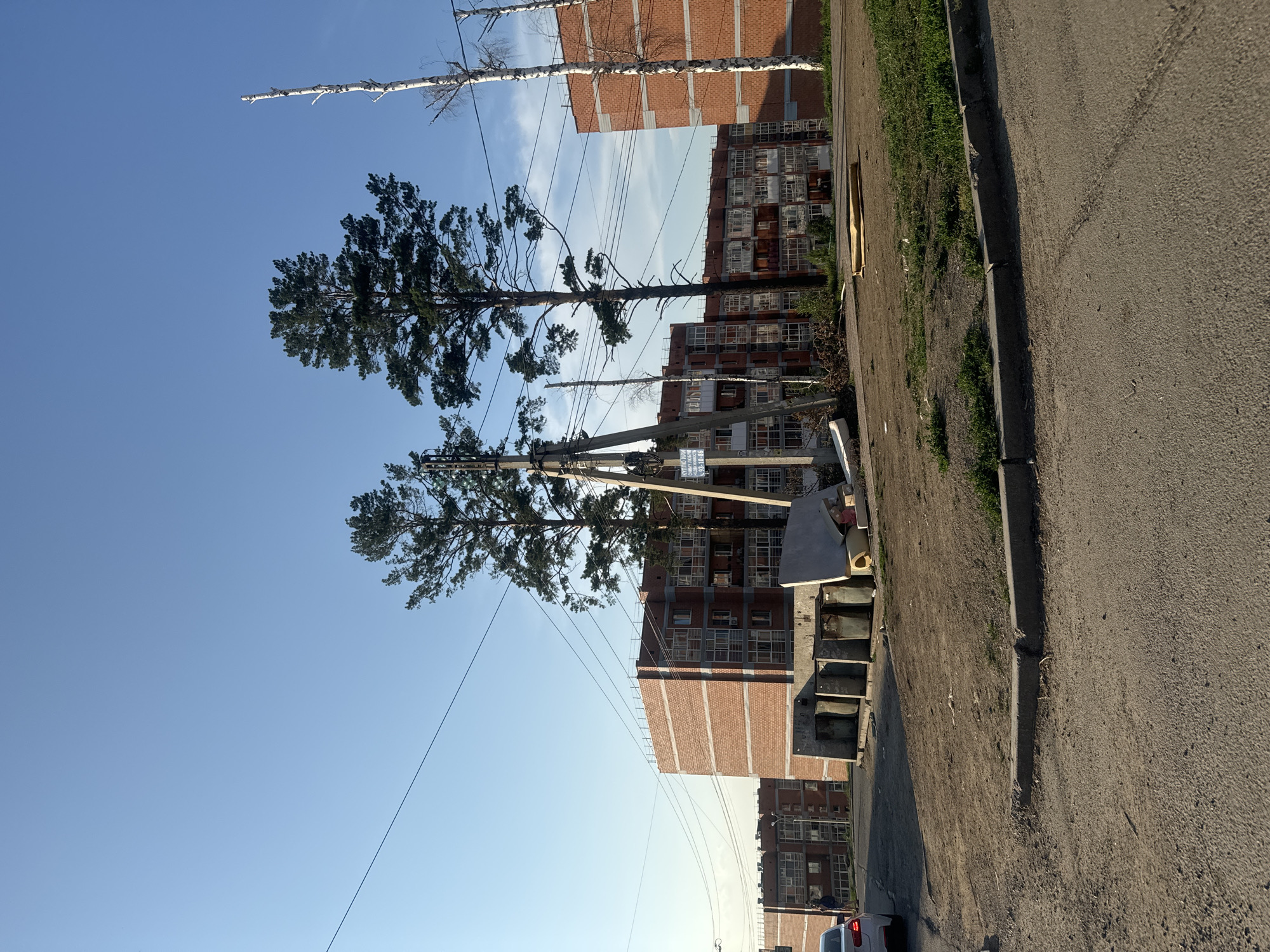 An exterior, eye-level, medium shot captures a residential scene in the city of Markova, Russia. Two tall, mature pine trees with sparse lower branches dominate the center of the frame, towering over apartment buildings constructed of red brick. The apartment buildings feature multiple floors with rows of windows, and some have balconies. In the foreground, a dirt and gravel area separates the road from the apartment buildings. Several large, rectangular concrete blocks and discarded building materials, including what appears to be a piece of insulation and a yellow mattress, are piled up near the apartment buildings. A utility pole with multiple wires is situated between the pine trees. A white car is parked on the left side of the frame, and a person in dark clothing is walking away from it towards the buildings. A second, smaller apartment building is visible in the background to the left. A tall, bare birch tree stands to the right of the pine trees, with another bare tree to its right. The sky is clear and blue, indicating fair weather.