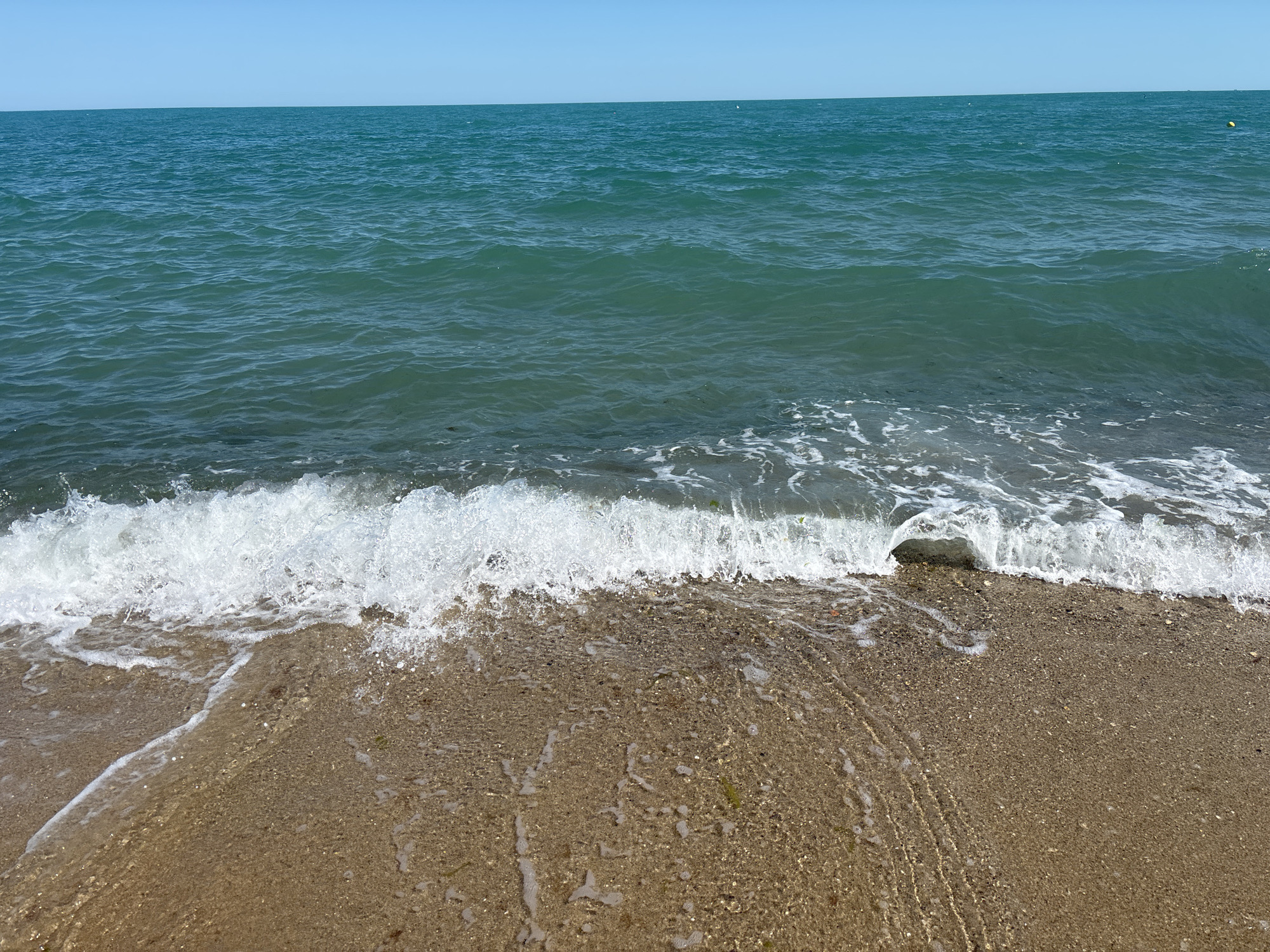 A close-up, eye-level shot captures the edge of a beach with gentle waves lapping onto the shore. The water is a clear, turquoise blue, with small whitecaps forming as the waves break. The sand is a light brown, with small pebbles and shells mixed in. The horizon line is visible in the distance, separating the sea from a clear, pale blue sky. The scene appears to be on a sunny day. The image does not contain any people or specific landmarks that would indicate a precise location within Varna, Bulgaria.