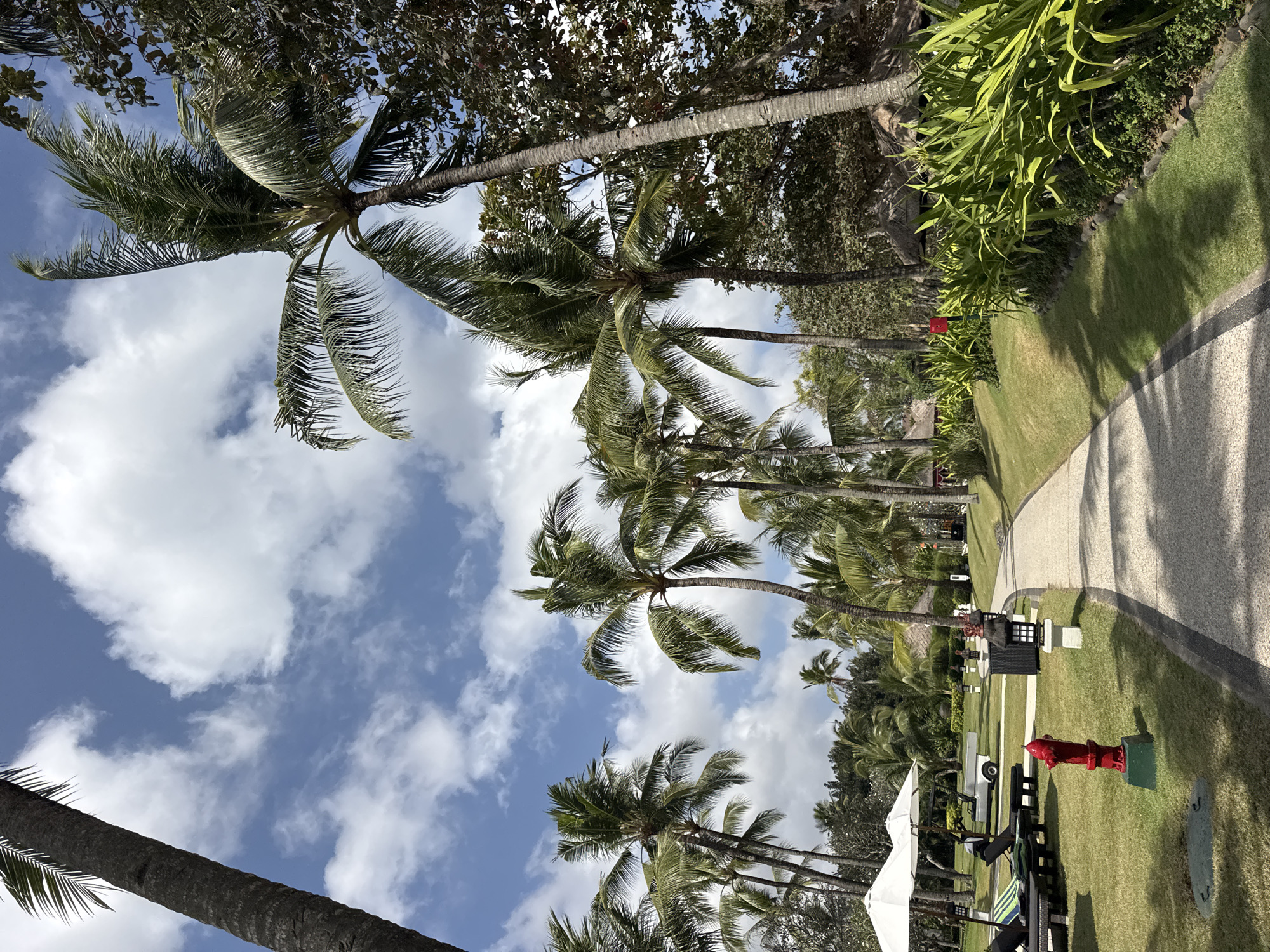 This image depicts a tropical resort pathway in Kuta Selatan, Indonesia. The pathway is paved with light-colored aggregate and edged with dark stone, curving to the right. To the left of the pathway, lush green grass is dotted with several lounge chairs, two white umbrellas, and a red fire hydrant. Further in the background on the left, a golf cart is visible. The pathway is flanked by manicured lawns and dense foliage, including a row of vibrant green plants. A line of palm trees, varying in height and density, dominates the background and extends into the sky. Some of the palm trees are significantly taller than others, creating a layered effect. In the far background, glimpses of thatched-roof structures suggest the presence of resort accommodations. The sky is a bright blue, interspersed with fluffy white clouds, indicating a sunny day. The overall scene conveys a serene and tropical atmosphere, typical of a resort destination in Kuta Selatan.