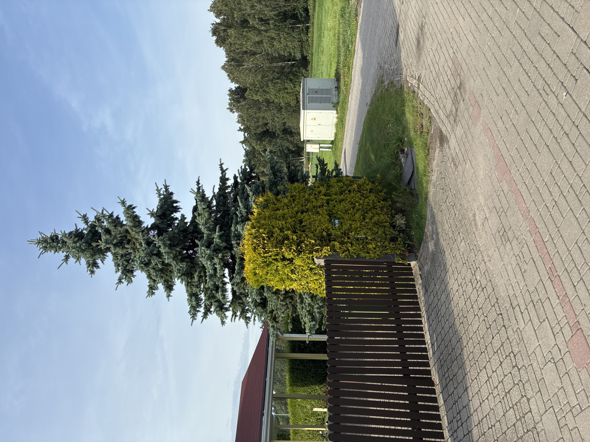 The image depicts a paved driveway in the municipality of Dreiliņi, Latvia. A dark wooden fence with vertical planks is visible on the left side of the frame, bordering a property. Beyond the fence, a structure with a red roof and white pillars is partially visible. A tall evergreen tree stands prominently in the background, to the right of the fence. Adjacent to the evergreen is a bright green, cone-shaped shrub. Further into the background, a light-colored electrical utility box with ventilation grilles sits on a grassy area, next to a smaller similar box. The driveway curves to the right, leading towards a wooded area with deciduous trees in the distance. The sky is clear with some wispy clouds. The scene appears to be an exterior shot taken during daylight.