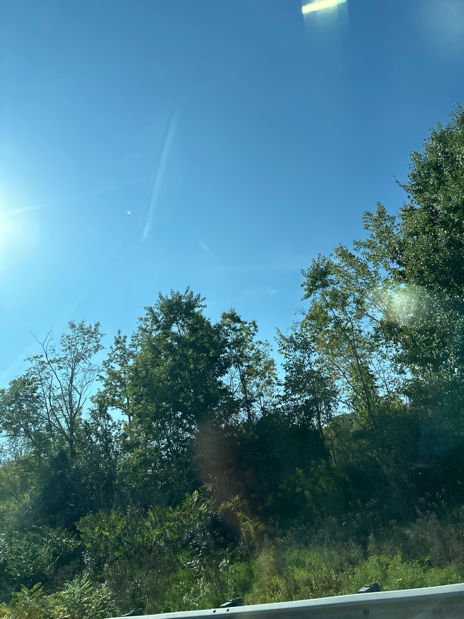 An outdoor, eye-level, vertical shot captured on a sunny day shows a bright blue sky and a line of trees. The sun is visible in the upper left corner, casting a lens flare and sun streaks across the image. A faint contrail is visible in the sky. The trees are lush and green, with some bare branches on the left side. In the foreground, there is a metal railing, suggesting the photo was taken from a vehicle. The environment appears to be a natural landscape, possibly a park or a roadside scenic area within Collier Township, United States of America.