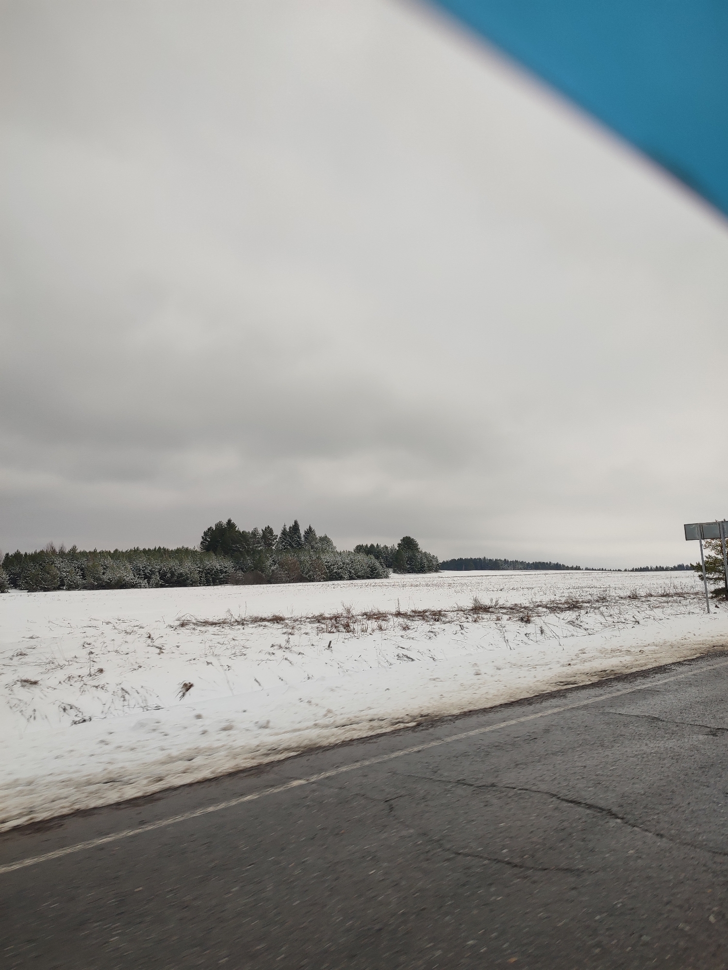 The image depicts a snowy landscape under a cloudy sky. A field covered in snow stretches toward the horizon. A line of trees separates the field from the distance. The foreground shows a paved road with some snow accumulation along its edge. There is a blue object in the top right corner. A sign on a pole is visible on the right side of the image. Location: Makarovo, Russia.