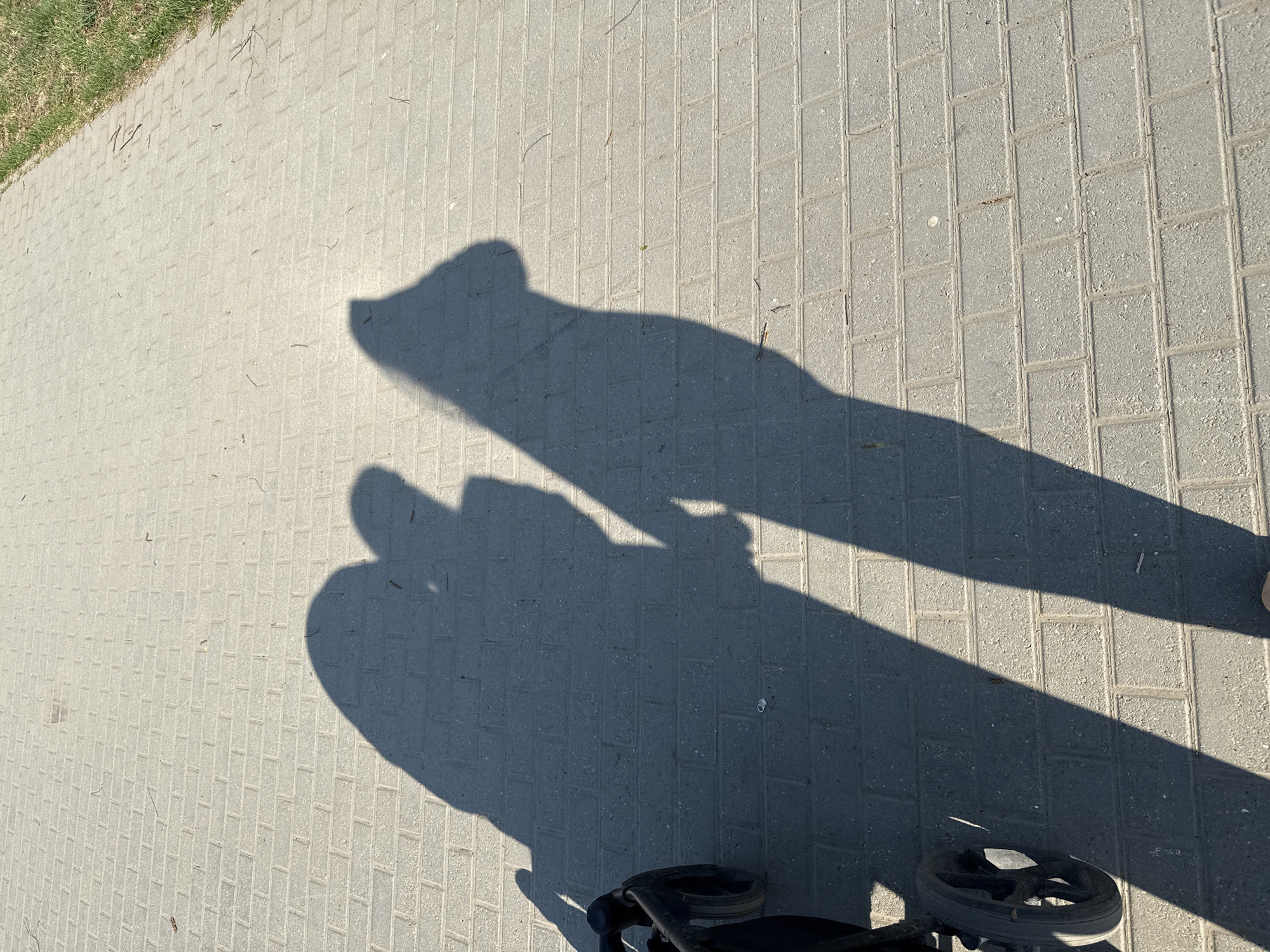 The image shows a paved area, likely a sidewalk or pedestrian walkway, composed of rectangular grey brick pavers. The top left corner of the image shows a patch of green grass. The dominant feature is the shadow of a person and a stroller, cast on the paving stones. The lower portion of the stroller is visible in the bottom center-right of the frame. The environment suggests an outdoor urban or suburban setting on a sunny day.