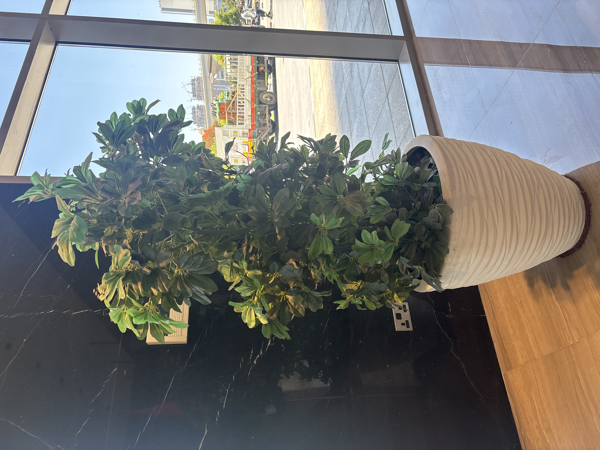 A potted artificial plant stands in a large white planter on a tiled floor next to a black marble wall. The plant has dense green and brown leaves. To the right of the plant, a large window overlooks an outdoor scene. Through the window, a street is visible with a truck carrying large green cylinders, construction in progress, and a clear blue sky. A man in a high-visibility vest is walking on the sidewalk. The interior flooring is light brown and beige tiles, and the wall is black marble with white veining. Electrical outlets are visible on the black wall. The image appears to be taken in an indoor public space in Dubai, United Arab Emirates, likely a lobby or commercial area, given the modern architecture and the outdoor view of ongoing development and infrastructure.