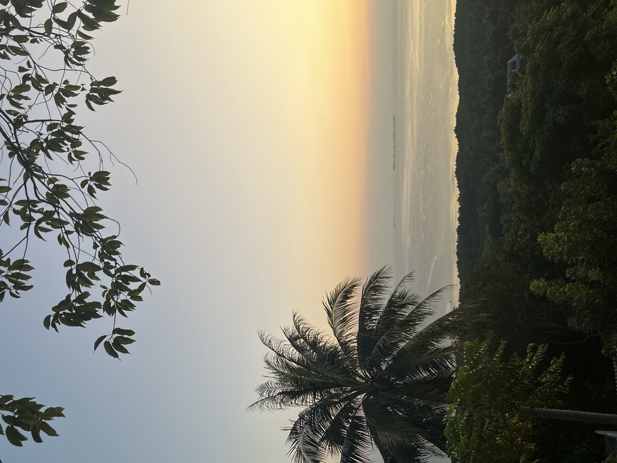 This media file captures a serene tropical landscape at dusk in Karimunjawa, Indonesia. The image is oriented vertically, presenting a view of the sea and a forested island.
In the foreground, the silhouette of a palm tree dominates the lower right portion of the frame, its fronds splayed against the sky. To the left, branches of another tree with dark green leaves frame the scene, creating a natural border. Further back, the lush, dark green foliage of a densely wooded island rises up from the water's edge. A glimpse of a building, possibly a house or resort, can be seen nestled within the trees on the island's slope.
The sea stretches across the middle ground, appearing calm and vast. In the distance, several faint shapes suggest ships or boats on the water, and a distant landmass is visible on the horizon.
The sky transitions from a pale, hazy blue at the top left to a warm gradient of yellow and orange near the horizon, indicative of sunset or sunrise. The overall mood is peaceful and tranquil, evoking a sense of quiet natural beauty. There is no visible text in the image.