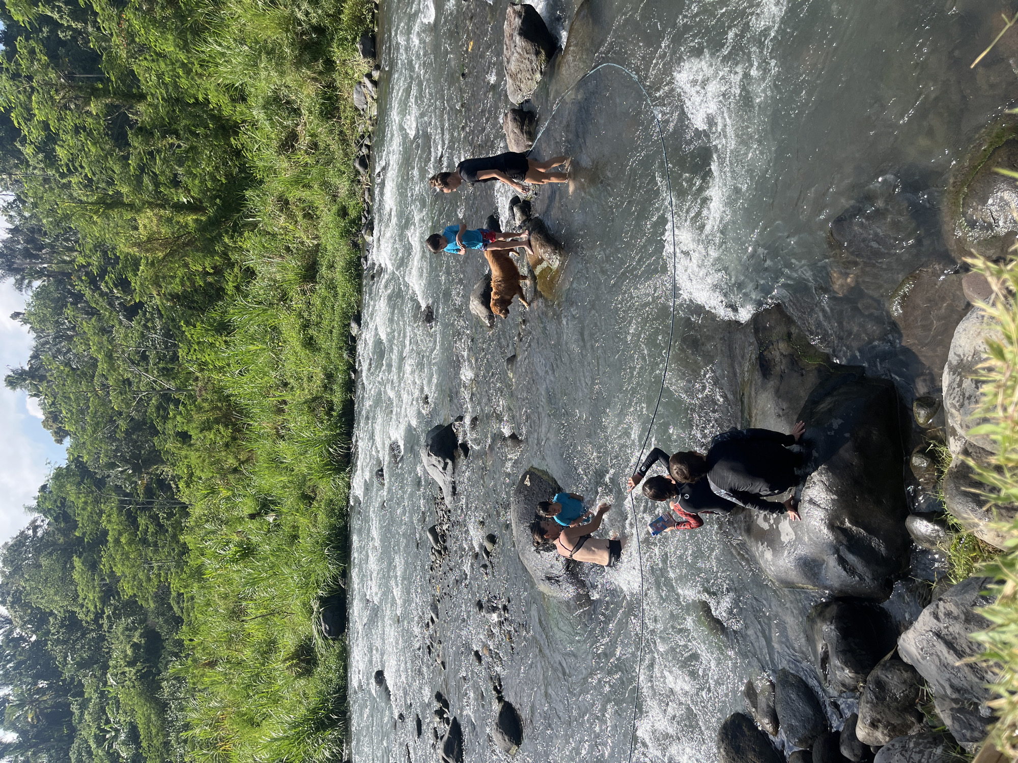 This image captures a group of people and a dog in a shallow, rocky river. The river flows over numerous submerged and exposed stones, with rapids and white water visible in some areas. Dense green vegetation covers the background, indicating a natural, possibly tropical, environment.
In the foreground, two individuals are partially submerged in the water, one wearing a black swimsuit and the other a blue shirt. Nearby, another person is seated on a large, dark rock in the river. Further upstream, a child in a blue shirt and red shorts stands on a rock, interacting with a golden-brown dog. Another person in a black outfit stands near them, holding a blue rope. In the mid-ground, two more individuals, one in a red and black wetsuit and the other in a black wetsuit, are also in the water. One of them is holding a blue object, possibly a book or tablet.
The scene suggests a recreational outing in a natural river setting. The location is described as Klungkung, Indonesia, which is known for its scenic rivers and natural landscapes. The overall atmosphere appears relaxed and familial, with people enjoying outdoor activities.