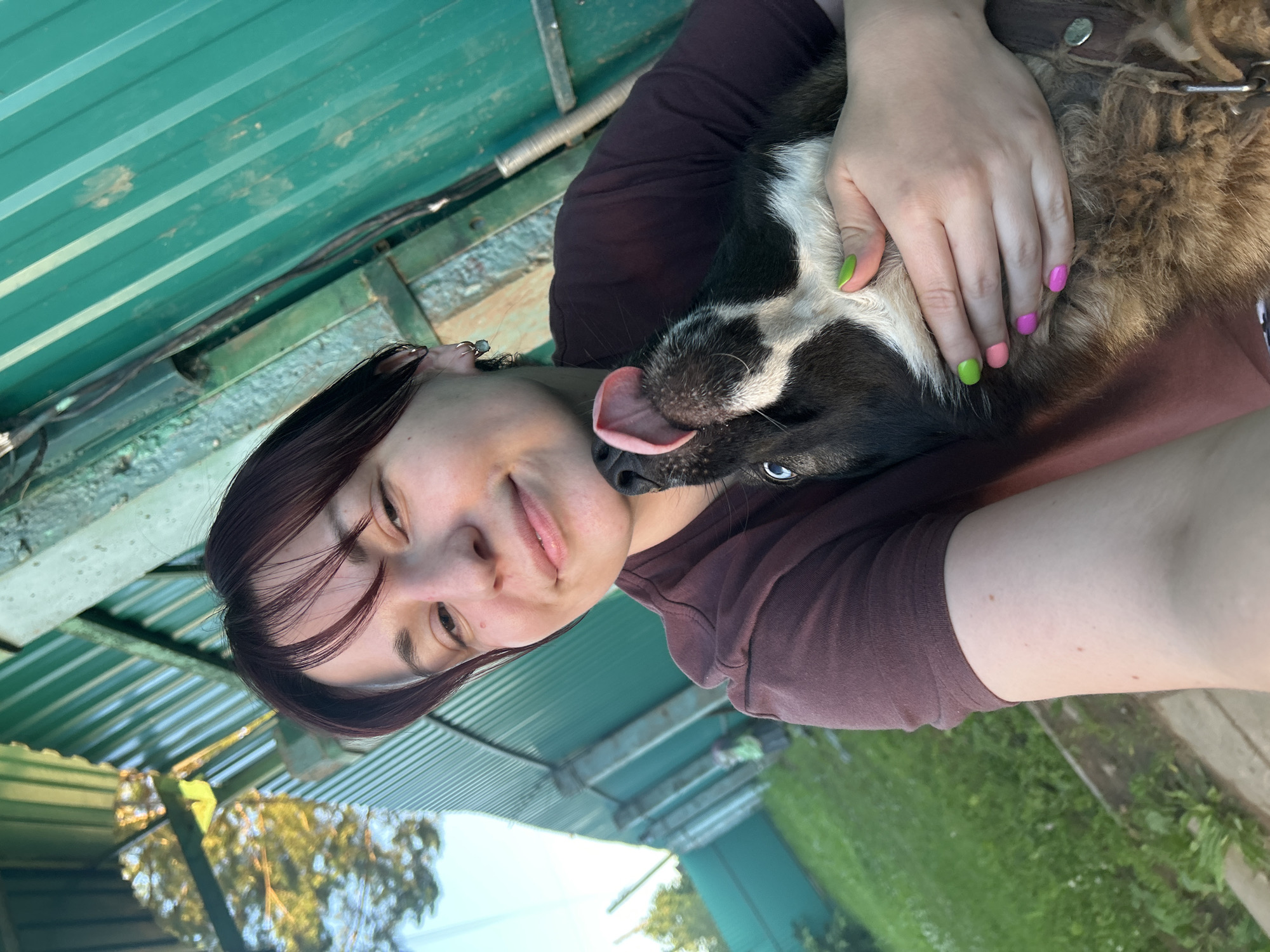 The image features a young woman and a dog in an outdoor setting. The woman, with dark hair and wearing a maroon shirt, is taking a selfie, embracing the dog. Her face is partially visible, and she appears to be smiling. The dog, predominantly black with white markings on its face, is snuggled close to the woman, with its tongue sticking out. The woman's fingernails are painted in various bright colors, including pink, green, and orange.
The background is dominated by a green corrugated metal structure, likely a roof or wall, suggesting a sheltered outdoor area like a porch or shed. The sunlight indicates it is daytime, and the bright lighting implies fair weather. Hints of greenery and trees in the background suggest a rural or suburban location. The overall mood is affectionate and relaxed, capturing a moment between a person and their pet. The location is identified as Фоки, Russia. No visible text is present in the image.