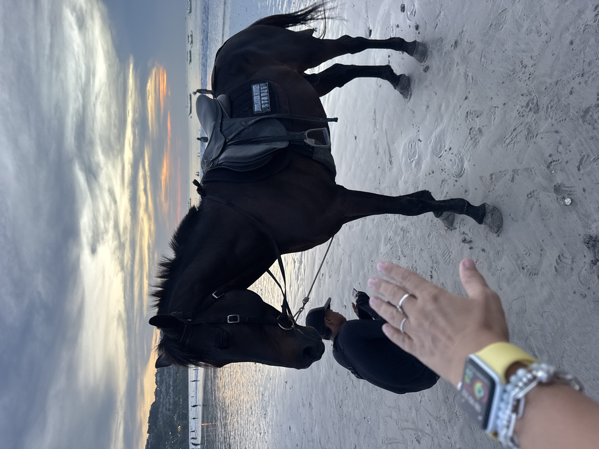 A slightly tilted shot of a dark horse on a sandy beach, with a person in dark clothing standing near its head. The horse has a saddle, and a patch on its side reads "JORDAN HORSE STABLE". In the foreground is a hand with rings and a watch. The background shows a beach, water, and a cloudy sky with hints of sunset colors. In the distance, a city line is visible. Location: Unknown, Unknown.