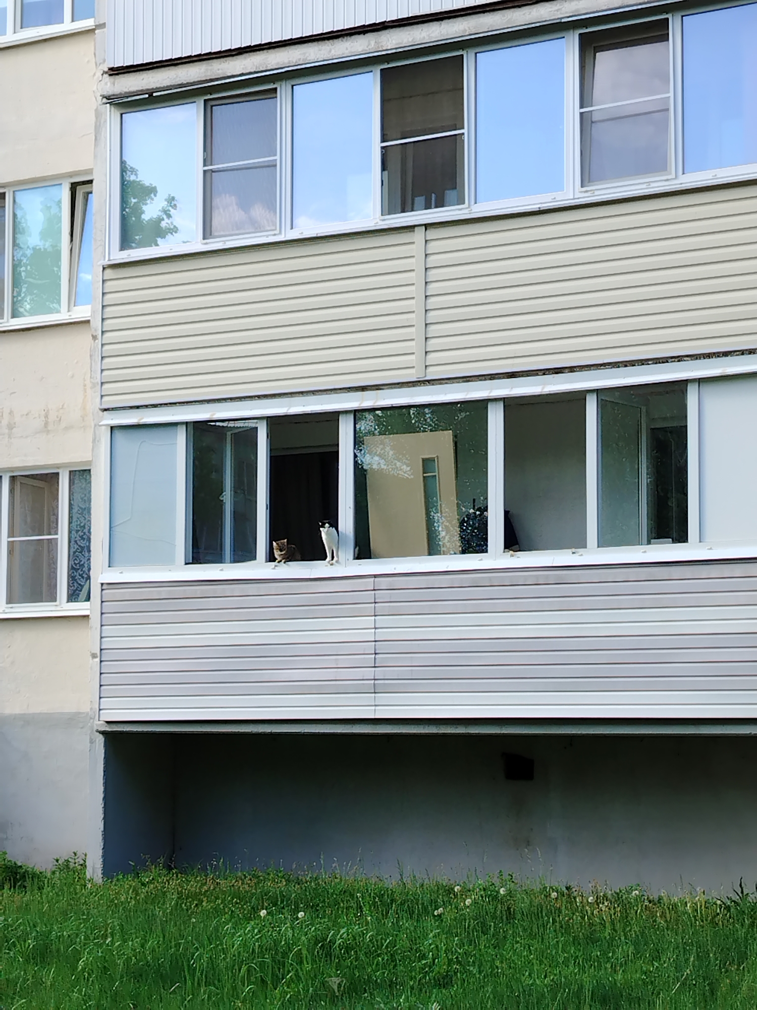 The image depicts an exterior view of an apartment building in Noviy, Russia. The building has beige siding on the upper floors and a concrete base. A balcony extends from the second floor, with sliding glass windows. Two cats are visible on the balcony ledge. Tall grass grows in front of the building. The scene is set during daytime.