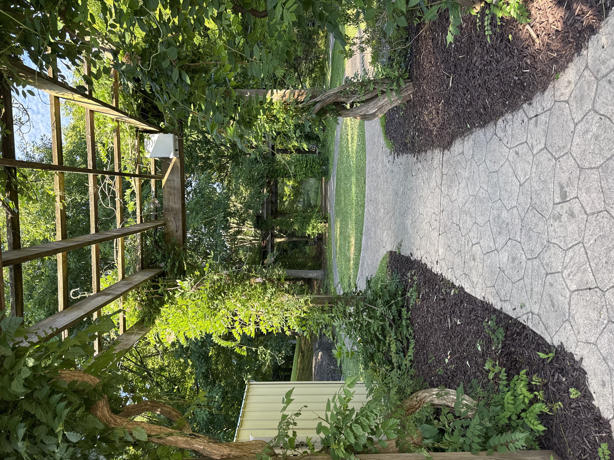 This image depicts a shaded pathway made of stamped concrete, leading through a garden area with lush green foliage. The path is bordered by dark brown mulch and various plants, including vines that climb on wooden posts and a pergola structure overhead. The pergola, constructed of weathered wooden beams, is partially covered in greenery. In the background, more trees and a glimpse of a light-colored building with a corrugated metal exterior are visible. The scene is set outdoors, suggesting a park, garden, or residential outdoor space in South Abington Township, United States of America. The lighting indicates it is daytime, with sunlight filtering through the leaves and casting shadows. There are no people or animals present in the image.