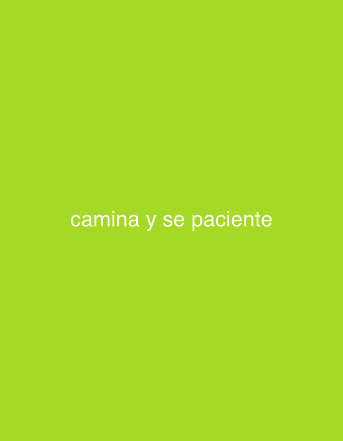 The image displays white text centered on a solid lime green background. The text reads, "camina y se paciente," which translates from Spanish to "walk and be patient." There are no other subjects, objects, or activities depicted. The scene is devoid of people, specific settings, or contextual details such as time of day or weather, focusing solely on the textual message against a plain colored backdrop.