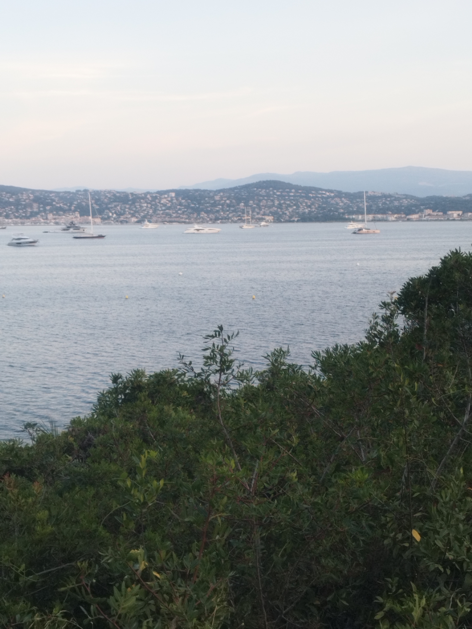 The image depicts a calm body of water with several yachts and sailboats anchored. In the background, a densely populated coastal town with buildings is visible, nestled against a hilly landscape. The sky is overcast, suggesting it could be early morning or late evening. The foreground is dominated by lush green foliage, possibly from trees or shrubs. The scene appears to be a view from a slightly elevated position overlooking the water and the town. The location is likely Antibes, France, given the characteristic coastal topography and architecture seen in the background.