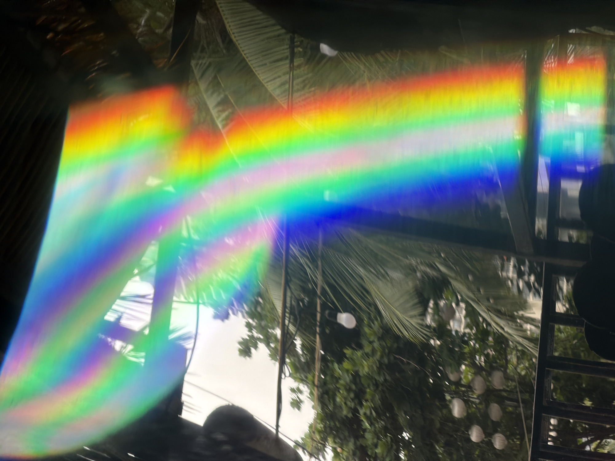 The media file captures a vibrant light phenomenon, likely sunlight dispersing into a rainbow spectrum. A broad, intense rainbow arc dominates the central and left portions of the image, stretching diagonally from the lower left to the upper right. Its colors are clearly delineated, ranging from red and orange at the top to yellow, green, blue, and violet at the bottom. A second, fainter rainbow is visible towards the upper right.
Behind the dazzling light, the setting appears to be outdoors or semi-outdoors, characterized by lush green foliage. Prominent are large palm fronds, indicating a tropical or subtropical environment consistent with Đà Nẵng, Vietnam. Other green trees and leaves are also visible. Through and above the dense greenery, a bright, possibly overcast or hazy sky is visible.
Dark, structural elements are interspersed throughout the background. These appear to be metal frames or beams, possibly part of a building, a covered patio, or a window structure. On the far right, a vertical, ladder-like metal structure is evident. Among the foliage, particularly visible in the crops, are what appear to be white, spherical objects, possibly decorative lights or even fruit hanging from trees, and a single, unlit light bulb.
No people are visible in the image. The strong sunlight creating the rainbow suggests it is daytime. The overall impression is one of natural beauty and light play amidst a verdant, possibly constructed, outdoor space. There is no visible text.