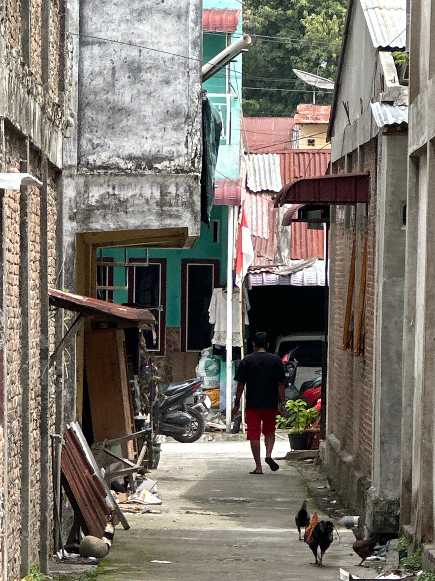 A narrow, cluttered alleyway in Pardamean Ajibata, Indonesia, is depicted. A man wearing a black t-shirt and red shorts walks away from the camera down the concrete path. To the left of the path, a brick building with a distressed, weathered concrete facade stands. To the right, another building features exposed brick and concrete. Various objects are strewn about the alley, including corrugated metal sheets, wooden planks, a motorcycle, and potted plants. Three chickens are visible foraging on the ground near the right side of the path. In the background, several residential structures with corrugated metal roofs and a satellite dish are visible. The overall scene suggests a densely populated and somewhat unkempt urban environment.