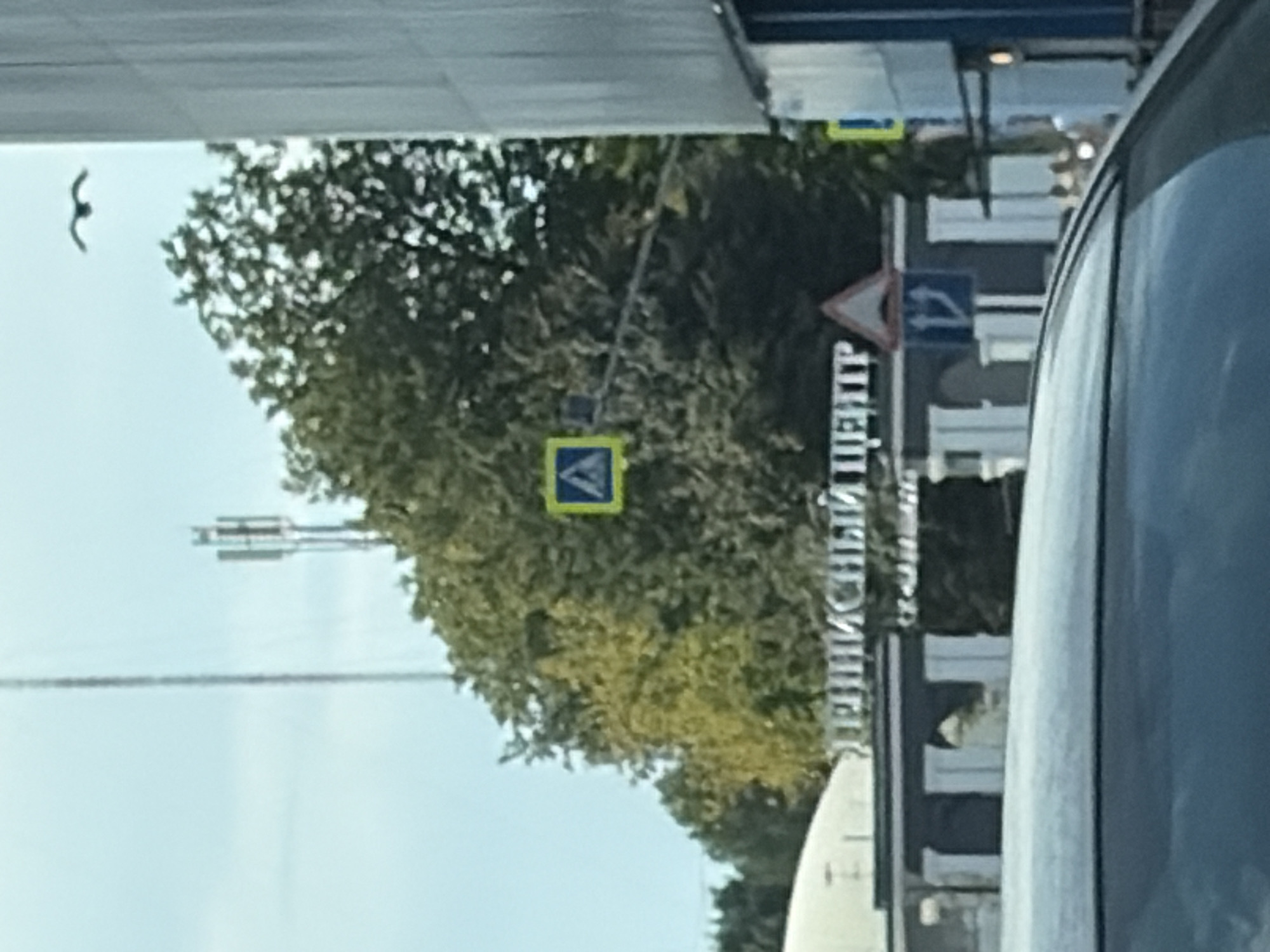 The image shows a street scene in Balashikha, Russia. In the foreground, the top of a car is visible. In the middle ground, there is a building with an arched entryway and text above it that appears to read "ДЭНИСНЫЙ ЦЕНТР" (Denisnyy Tsentr). There are also traffic signs visible, including a pedestrian crossing sign with a yellow square frame and a blue square sign with two arrows. Trees are present in the background, and a cell tower can be seen in the distance. A bird is flying in the sky. The overall impression is a typical urban street with commercial and traffic infrastructure.