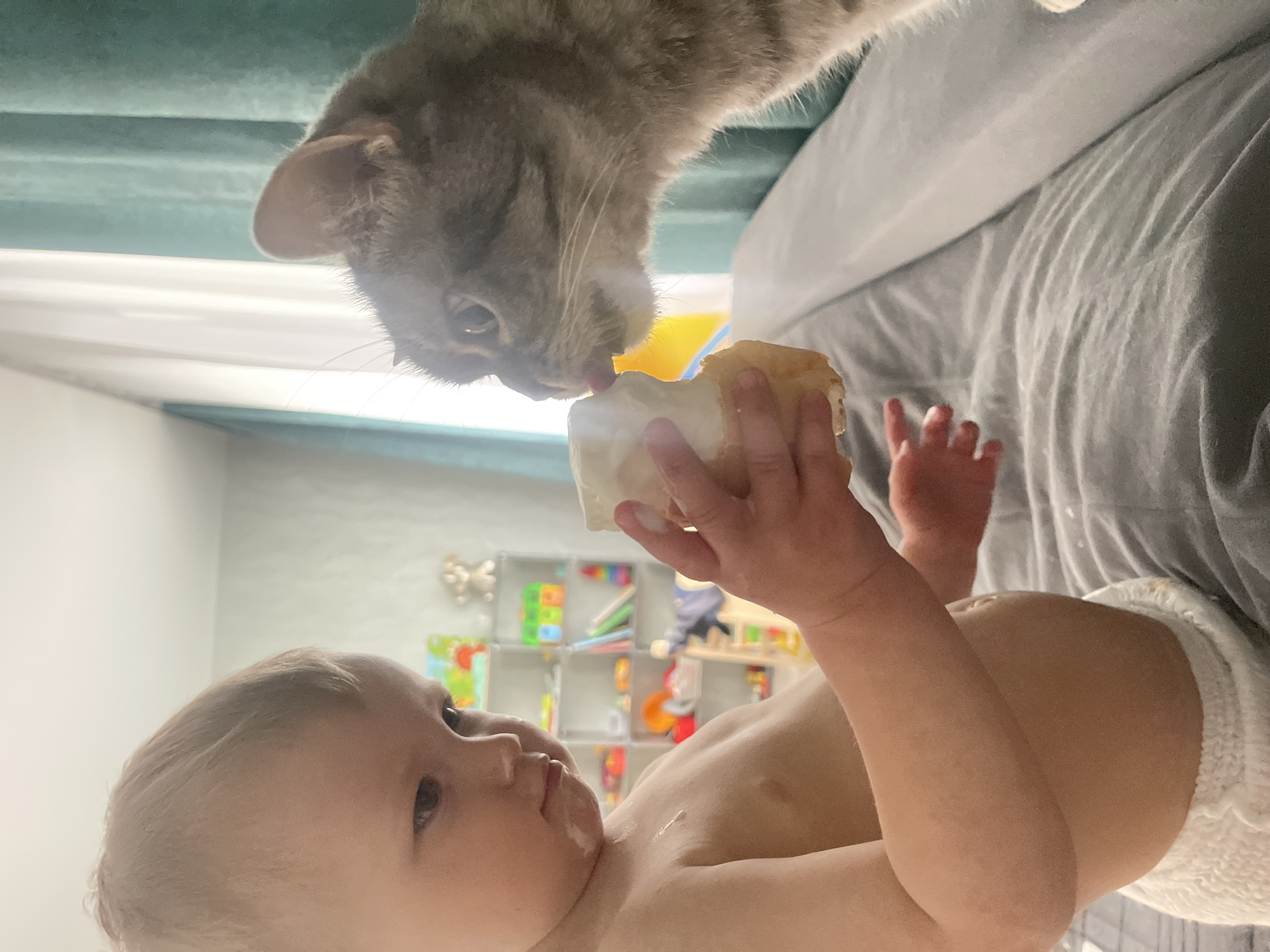 A cat licks the icing off of a pastry being held by a supine baby. The baby is wearing a diaper and is partially covered in white liquid, likely from the pastry. The background includes a bed, a green curtain, and a shelving unit with various toys. The specific location in Izhevsk, Russia, cannot be determined from the image.