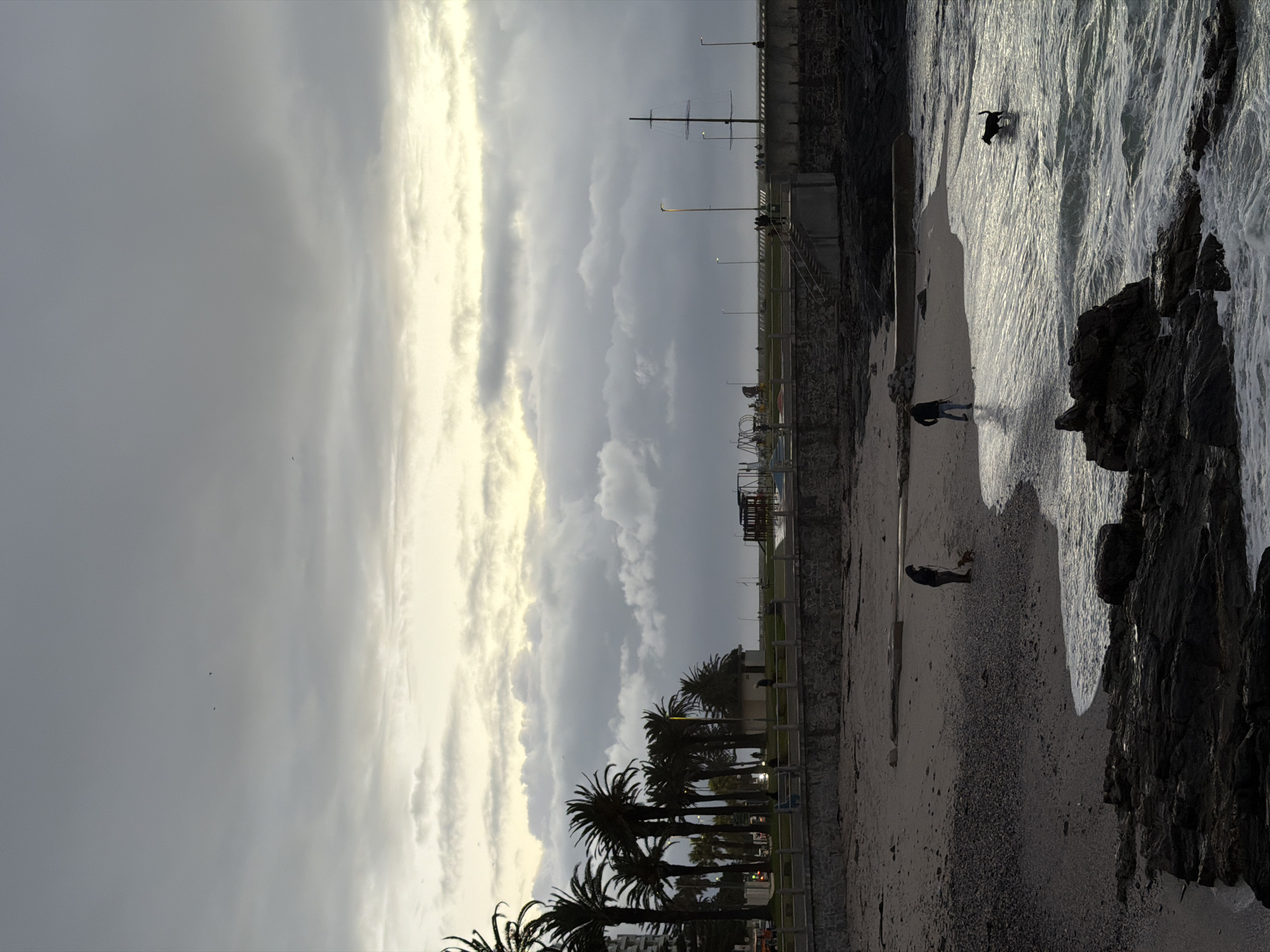 The image depicts a coastal scene in Cape Town, South Africa, likely along the Atlantic Seaboard. The sky is overcast with dramatic, grey and white clouds. The foreground features a row of palm trees along a promenade bordering a sandy beach. A stone wall separates the promenade from the beach.
On the beach, two individuals are visible walking near the water's edge. Further into the water, a dog is seen playing amidst the waves. The water appears choppy with white foam and waves breaking against dark rocks at the edge of the sea. A ship mast is visible in the background behind the promenade.