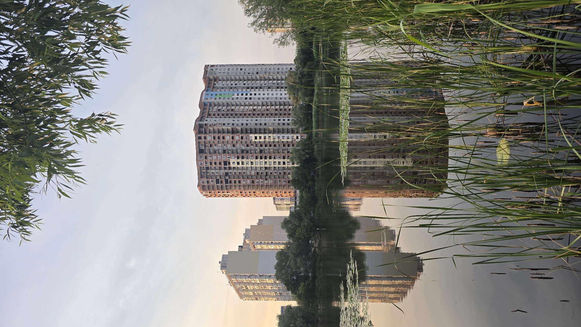 The image depicts a cityscape reflected in a body of water, bordered by reeds and trees. The scene is dominated by tall, multi-story buildings, some of which appear to be under construction or unfinished, with exposed brickwork and empty window frames. One prominent building has a curved, stepped roofline and a section with colorful panels. In the foreground, tall, green reeds and grasses line the edge of the water, their reflections appearing alongside the buildings. The water surface is calm, creating a clear mirror image of the structures and vegetation. The sky above is a pale blue, suggesting it is either early morning or late afternoon, with soft, warm light illuminating the scene. The overall impression is one of urban development encroaching on a natural landscape, with the reflective water adding a sense of tranquility to the otherwise imposing architecture. No people are visible in the image. The time of day appears to be either sunrise or sunset due to the warm lighting.