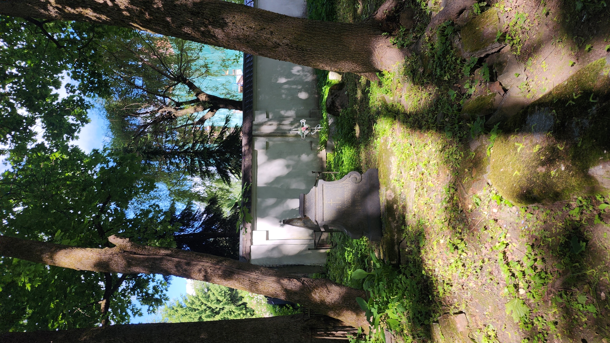 The image depicts a graveyard setting in what appears to be the city of Smolensk, Russia. Two large tree trunks frame the image on either side. In the center, a weathered headstone is visible, positioned in front of a white wall topped with a dark tiled roof. A decorative cross can be seen attached to the wall. The ground is covered in grass, moss, and small plants, with shadows cast by the trees overhead.