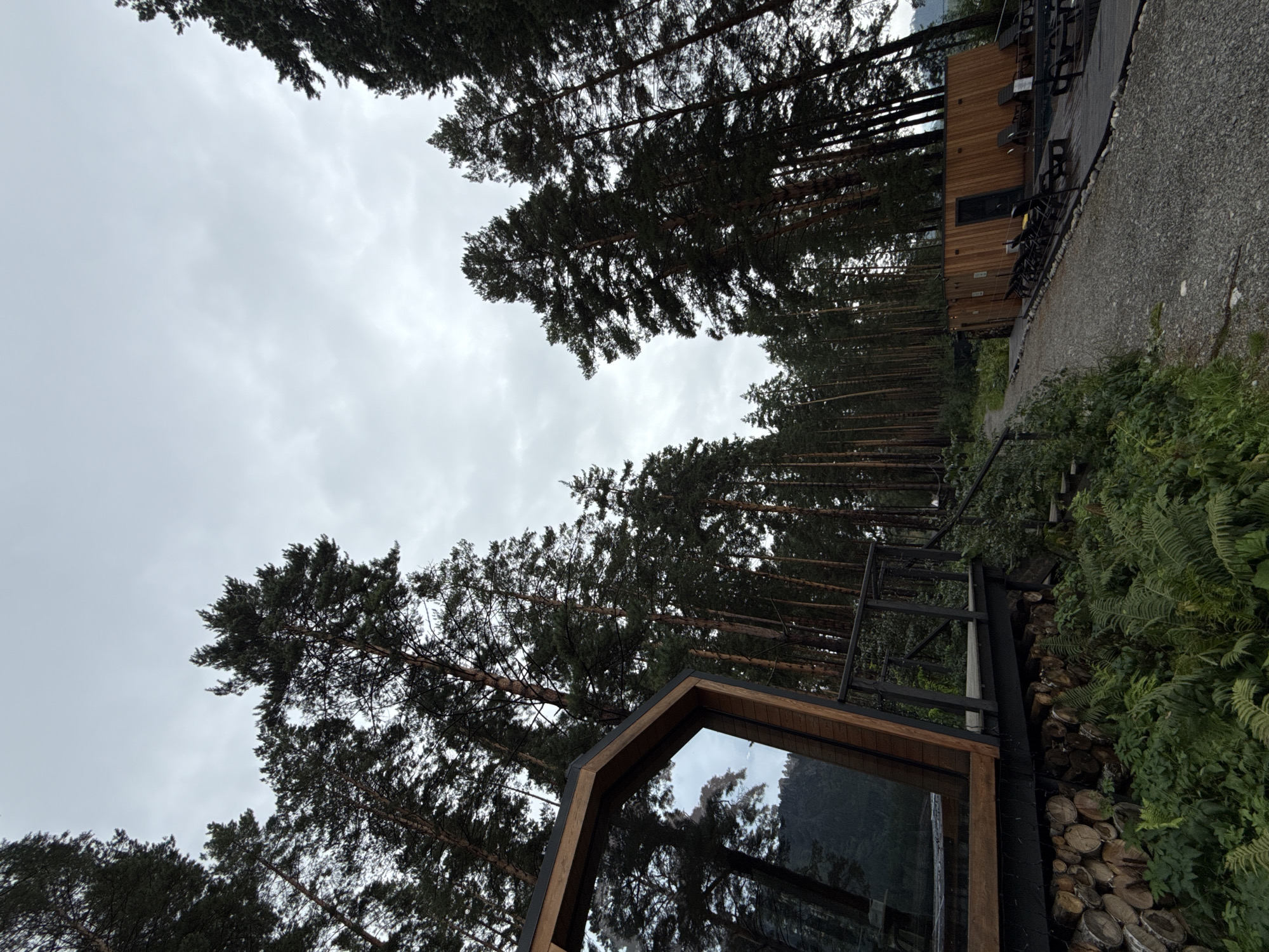 The image depicts a contemporary resort nestled within a dense coniferous forest, likely in the vicinity of Nizhnekayancha, Russia. The scene is dominated by tall, slender pine trees, their dark green foliage reaching towards a heavily overcast sky. In the foreground, a modern, angular cabin with large glass windows and wooden accents is visible. The cabin is elevated on stilts, with a wooden deck and railing. Below the deck, a substantial stack of cut logs is piled, interspersed with lush green ferns and undergrowth. To the right of the cabin, a gravel path winds its way through the trees, leading towards another wooden structure, possibly a sauna or changing room, with an adjacent outdoor seating area featuring multiple lounge chairs. The overall atmosphere is serene and natural, with the architecture harmoniously integrated into the forest landscape. There are no people visible in the image.