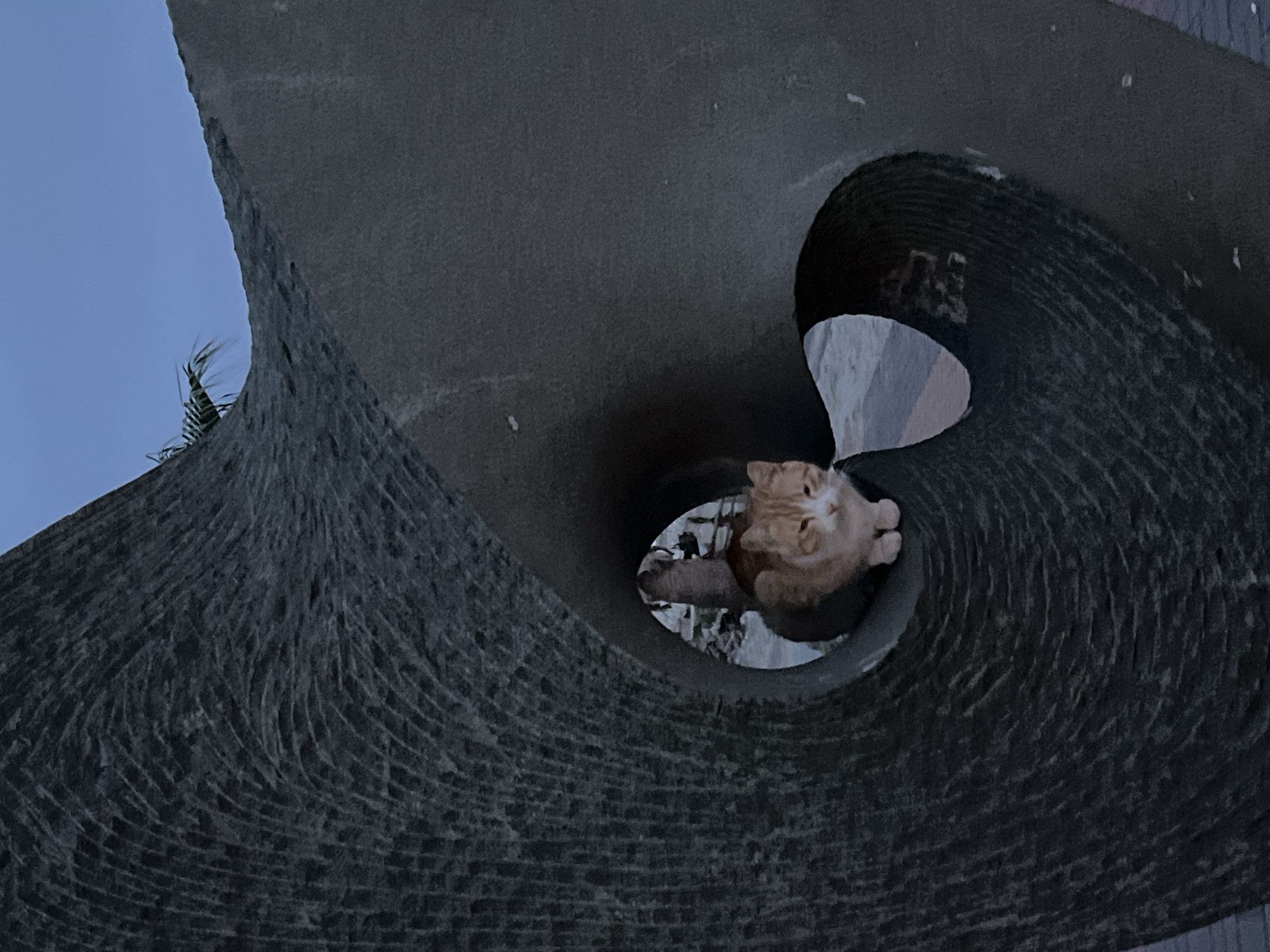 A low-angle shot shows an orange cat peering out from a circular hole in a dark gray, textured stone structure. The structure has layered, swirling patterns. The hole, or tunnel, is located in the center of the stone and frames the cat's face and paws. Outside the tunnel opening, a blurred cityscape is visible. The sky is a light blue in the upper left corner. The stone structure is part of a modern art piece in Alanya, Turkey.
