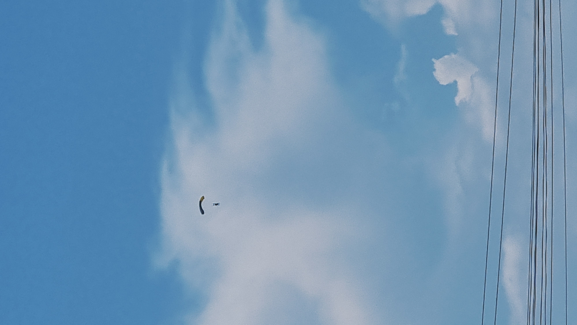 A skydiver is captured mid-air against a backdrop of a bright blue sky with scattered white clouds. The skydiver, appearing as a small, dark figure, is descending under a partially deployed parachute. The parachute itself is a crescent shape, primarily yellow with a dark outline. In the foreground, several horizontal power lines stretch across the bottom of the frame. The scene is open and outdoor, suggesting a location with clear skies suitable for skydiving. This activity is plausible in areas surrounding Castelló d'Empúries, Spain, which is known for its coastal landscapes and recreational opportunities.