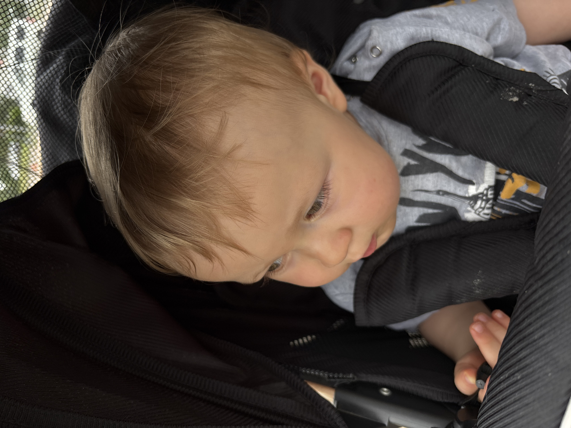 A close-up, low-angle shot captures a toddler from the shoulders up, seated in a stroller. The child, with fair hair and light eyes, is looking downwards and to the right, with a thoughtful or perhaps sleepy expression. They are wearing a grey hoodie with silver snaps and a black padded liner from the stroller is visible around them. The stroller's mesh netting and some greenery are visible in the background on the left, suggesting an outdoor setting. The lighting appears natural, consistent with daytime. There is no visible text in the image.