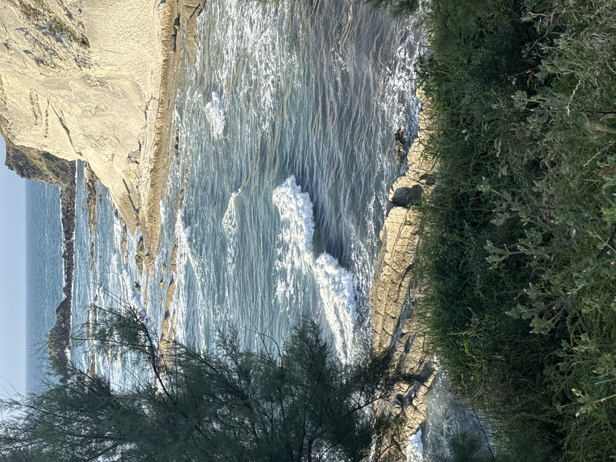 This image depicts a rocky coastline in Sopela, Spain. In the foreground, lush green vegetation and some sparse shrubs are visible. Beyond the vegetation, the ocean meets a series of rugged, layered rock formations that form the coastline. The water is a deep blue with white foam from waves crashing against the rocks and a large cliff face made of light-colored rock, which has distinct striations and appears to be part of the geological landscape. The sky above is a clear, pale blue. The scene captures a natural coastal environment with the characteristic geological features of the Basque Country.