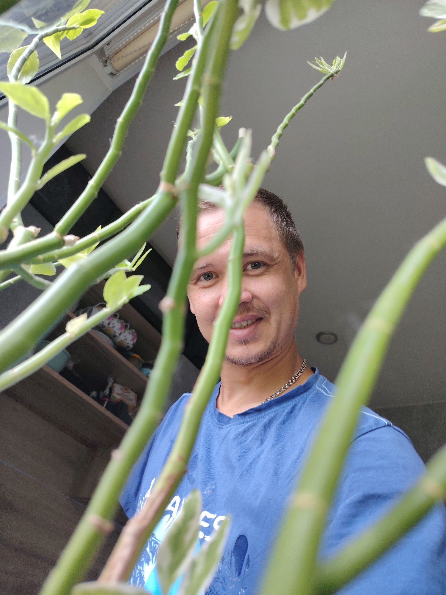 A man is visible through green plant stems in the foreground. He is looking at the camera with a slight smile. He is wearing a blue t-shirt and a silver chain necklace. In the background, shelves with various items are visible, along with a window. The scene appears to be indoors. The image quality is medium, and the focus is on the man's face, partially obscured by the plant.