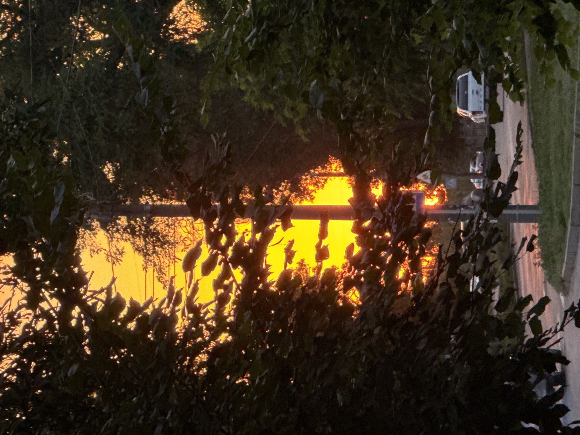 This image captures a serene sunset scene through the branches of trees. The sky is a vibrant orange, indicating the golden hour. In the background, a white van is visible on a road, suggesting a semi-urban or rural setting. The trees in the foreground are dark silhouettes, with some leaves catching the warm light. The overall mood is peaceful and tranquil. There is no visible text in the image. The location is Zaporizhzhia, Ukraine.