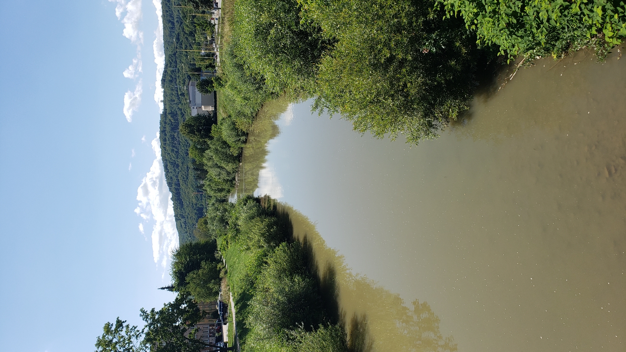 The image shows a wide, muddy river flowing through a green, tree-lined area. The river is calm with some ripples and reflections of the sky and surrounding trees. The banks of the river are densely covered with lush green bushes and trees. In the background, a tree-covered hill rises, with some buildings visible on its lower slopes. On the left side of the river, there are some buildings that appear to be houses or shops, and a road with parked cars. On the right side, a road with streetlights and traffic is visible, running parallel to the river. The sky is clear with a few scattered white clouds. This scene is likely of the Sekčov River in Prešov, Slovakia, based on the visible landscape elements characteristic of the area.