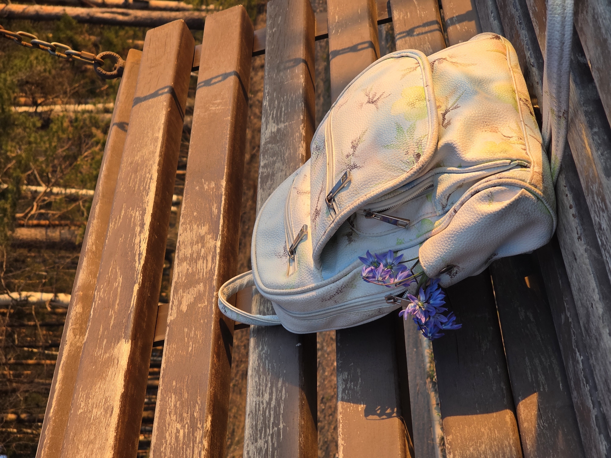A light-colored backpack, appearing to be made of textured material with subtle yellow and green floral patterns, rests on a weathered wooden structure, likely a bench or railing. Several vibrant blue-purple flowers are tucked into the side of the bag, near one of its handles. The backpack features multiple zippers with metallic pulls.
The wooden structure consists of parallel planks, which show signs of wear and tear, with some paint or finish chipping. These planks are bathed in warm, golden light, indicating either late afternoon or early morning during the "golden hour," and cast long, distinct shadows across the surfaces.
In the background, out of focus, is a natural environment with trees and glimpses of foliage, suggesting a forest, park, or wooded area. A heavy metal chain is visible attached to one of the wooden posts in the upper left, hinting at a barrier or a part of a larger outdoor installation. No people are visible in the image. The scene evokes a tranquil and contemplative atmosphere, capturing a moment of stillness in a natural setting, possibly in Chaikovsky, Russia. There is no visible text.
