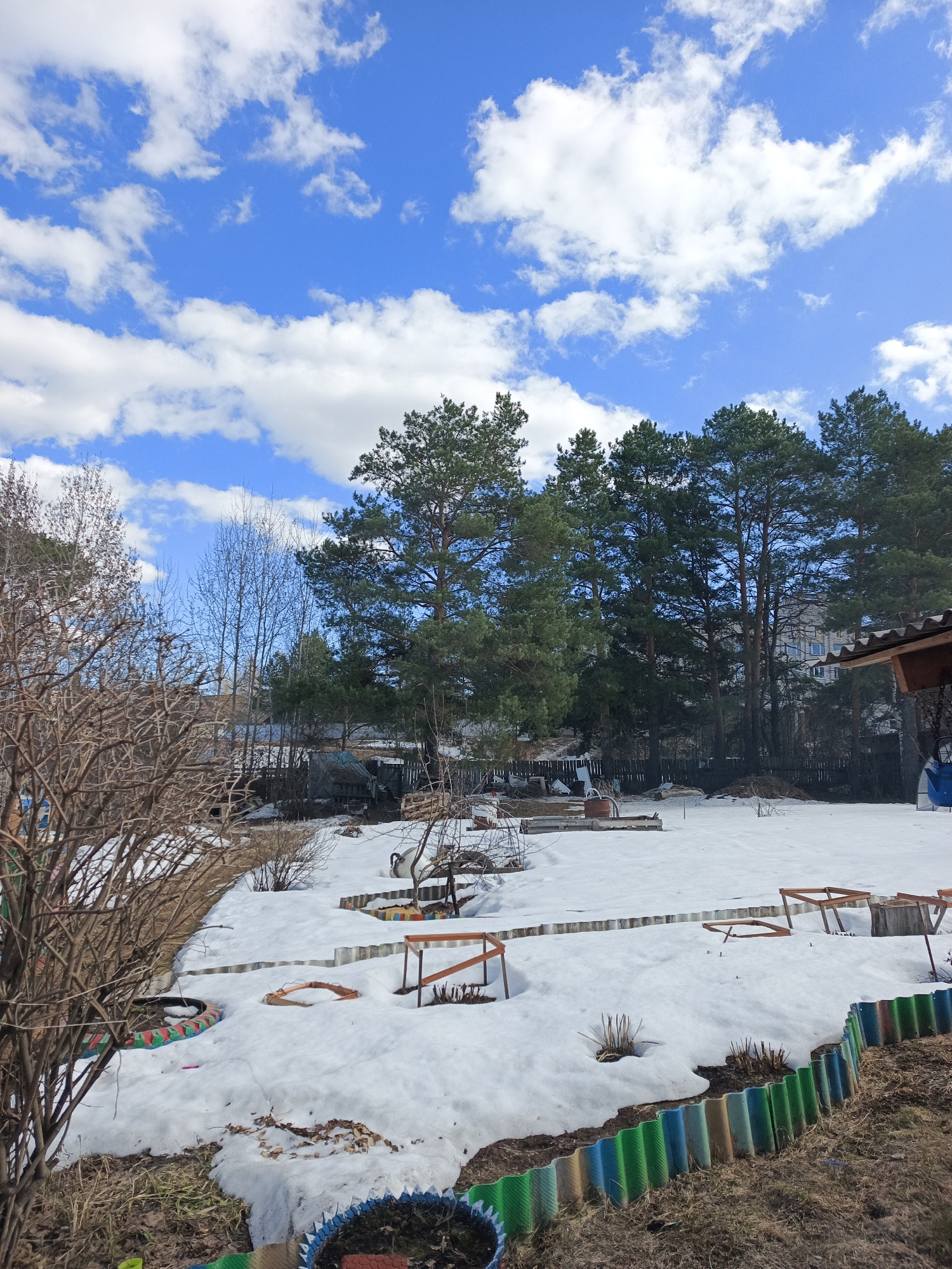 The image depicts a snow-covered backyard in what appears to be the early spring. A mix of deciduous and evergreen trees are present. The sky is blue with cumulus clouds. A garden area is delineated with a border of painted tires and corrugated metal. Scattered wooden structures, possibly frames or small tables, are in the yard. In the background are structures, possibly residential, suggesting the location is within a developed area. Given the user's prompt, this location is the city of Chaikovsky, Russia.