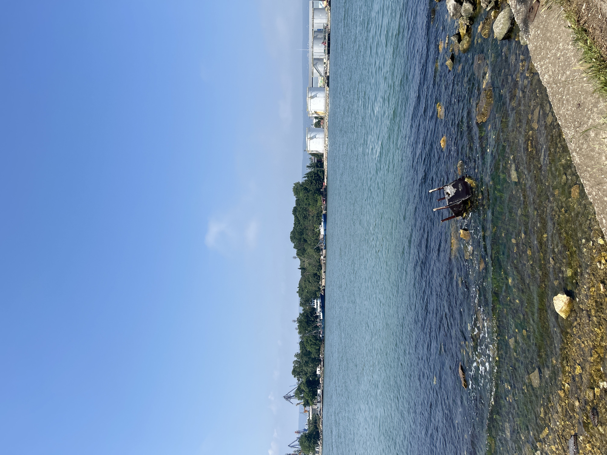 The image, taken during daytime under a clear blue sky, captures a coastal scene, likely in Varna, Bulgaria. The composition is divided horizontally by a body of water that dominates the right side. The water, calm with gentle ripples, transitions from a clear, greenish-blue near the shore to a deeper blue further out. Visible through the clear water near the foreground are numerous rocks and patches of submerged vegetation or algae.
On the far right, a concrete embankment or pathway runs along the water's edge, partially covered by sparse grass and dirt. Partially submerged close to this edge is a dark, metallic, chair-like object, appearing old and discarded.
Across the water, on the left side of the frame, a landmass is visible. A dense line of green trees forms a prominent band along this distant shore. Beyond the trees, in the mid-ground, industrial structures are apparent, including several large, white, cylindrical storage tanks (likely for oil or chemicals) and what appear to be cranes and other port facilities, indicating an industrial harbor or port area.
The sky, occupying a significant portion of the upper left, is a vibrant, cloudless blue, save for a few faint wisps of white clouds. No people or specific activities are visible, presenting a static view of the urbanized coastline. There is no visible text in the image.