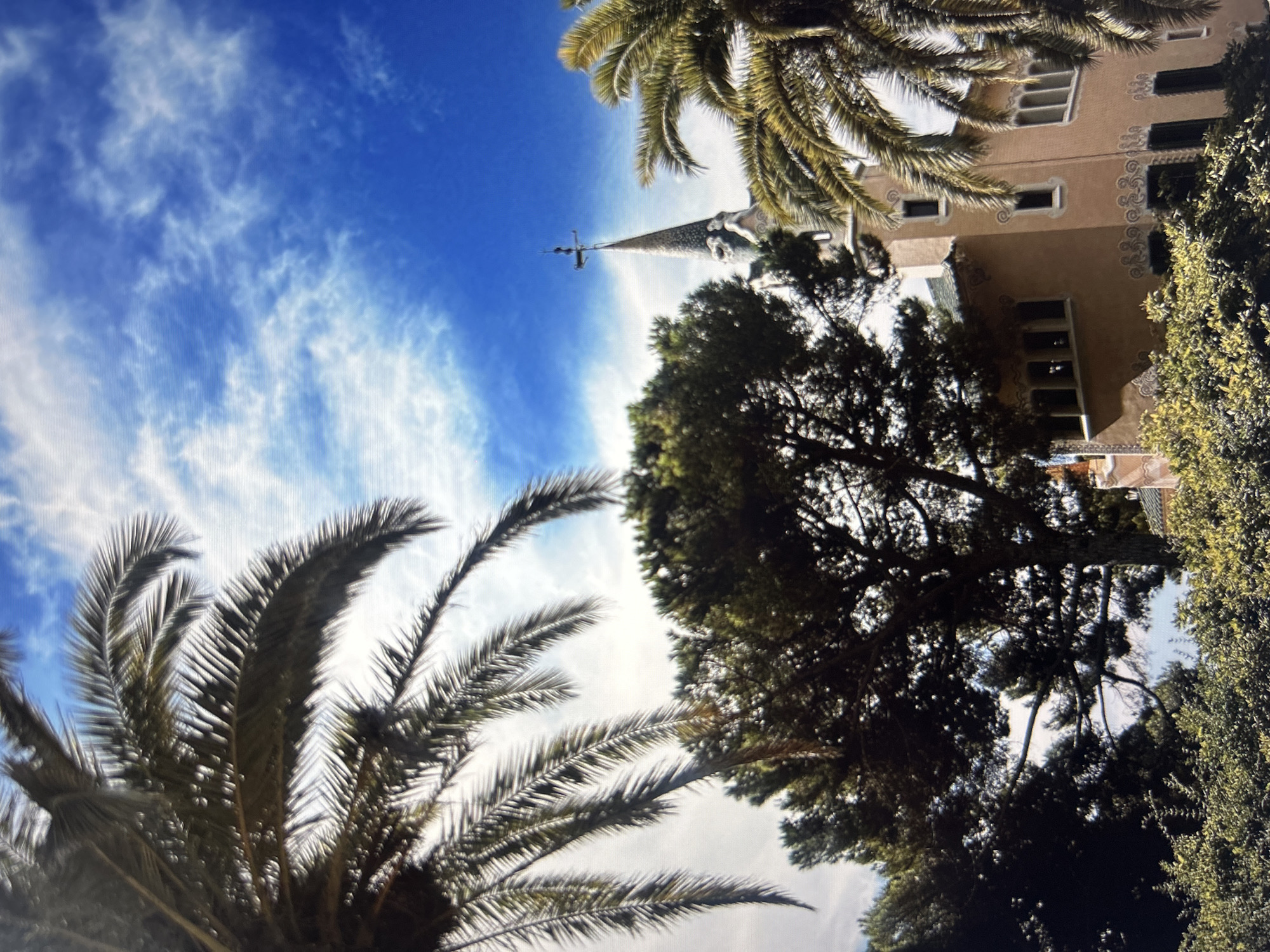 The image presents an upward-angled view showcasing a building with a spire, framed by palm trees and other greenery against a bright blue sky with scattered clouds. The building, situated towards the upper right, exhibits a light-colored facade with visible windows and decorative elements. The spire is light in color. Palm trees are prominent on either side of the image, with their fronds extending towards the center, adding to the tropical feel. Taller trees are located near the buildings. The angle and composition suggest a perspective from ground level, looking up towards the building and sky. The location of the image is unknown and does not appear to be Sofia, Bulgaria.