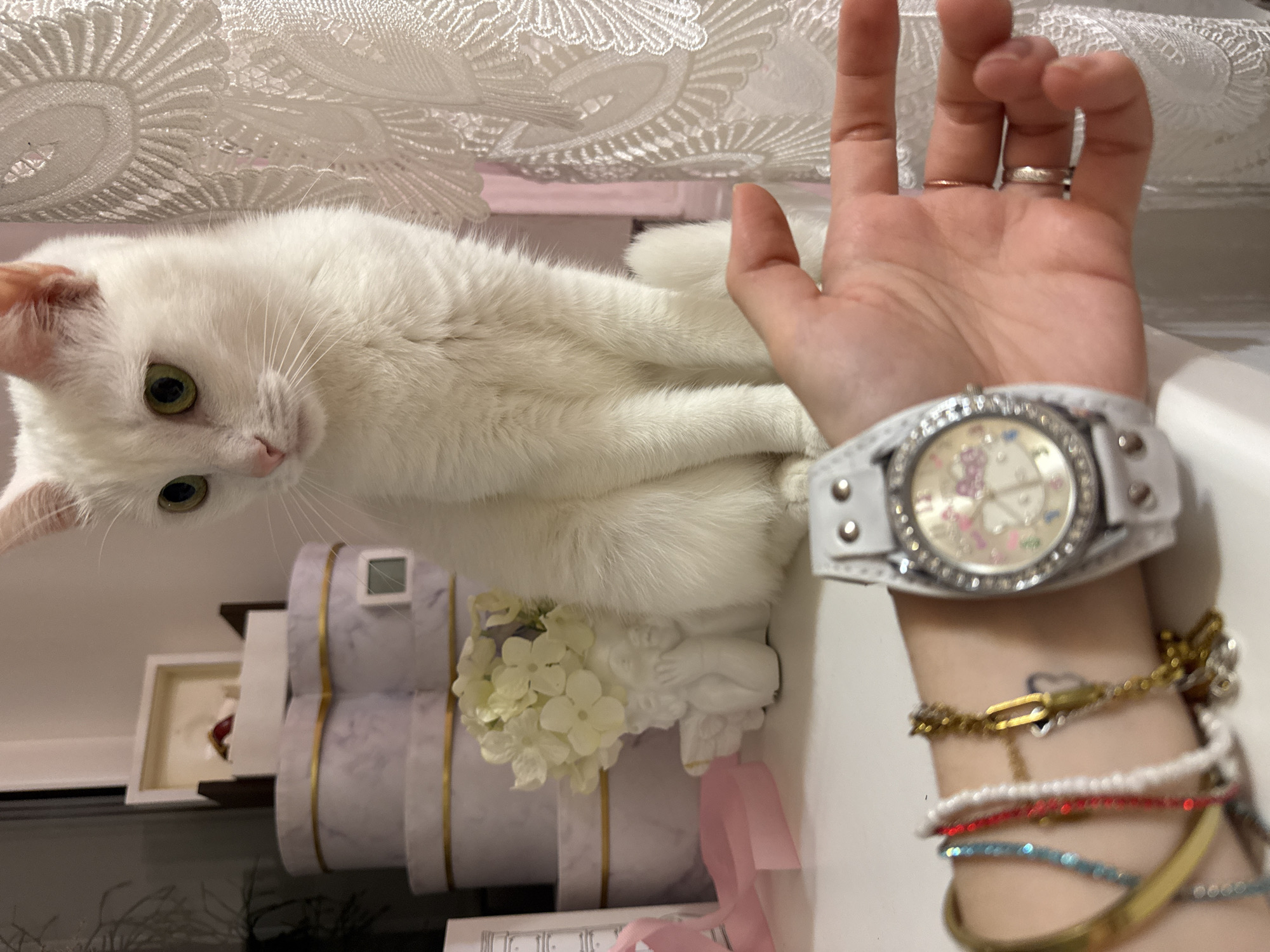 A white cat with green eyes is sitting on a white surface, possibly a shelf or dresser, next to a collection of decorative boxes. In the foreground, a person's left wrist is visible, adorned with a white watch and several bracelets. The watch has a decorative face with colorful elements and is surrounded by a jeweled bezel. The bracelets include a gold bangle, a beaded bracelet with red and white beads, and a thin gold chain with a charm. A white angel figurine holding a small bouquet of white flowers is positioned behind the wrist and in front of the cat. The background features a lace curtain. The scene appears to be indoors, with soft lighting.