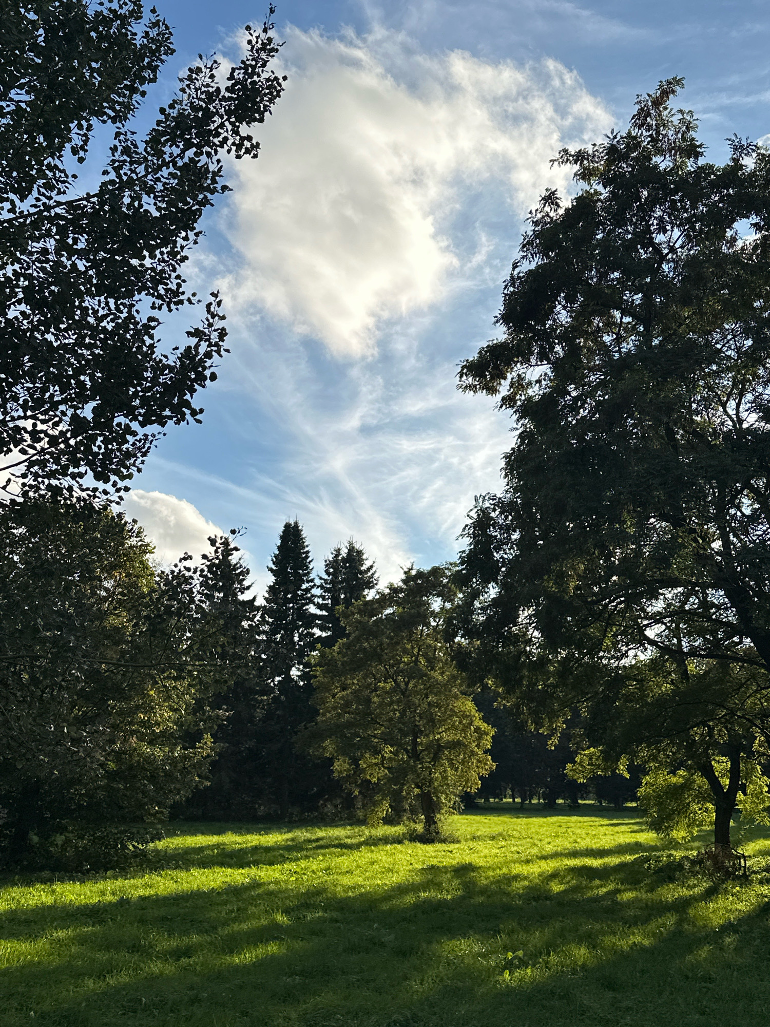 The image depicts a sun-dappled meadow surrounded by trees, with a bright blue sky dotted with wispy clouds. The sunlight casts long shadows across the vibrant green grass, indicating a late afternoon or early morning setting. Tall evergreen trees are visible in the mid-ground, forming a darker backdrop against the lighter foliage of deciduous trees at the edges of the frame. The scene appears serene and natural, with no human presence or man-made structures evident, suggesting a park or natural reserve. The specific location within Minsk, Belarus cannot be determined from the visual information provided in the image.