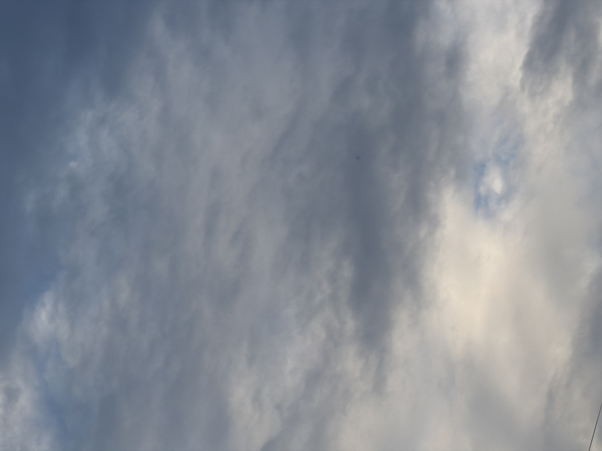 The image depicts a cloudy sky over the city of Khimki, Russia. The clouds are varied in texture and density, ranging from wispy cirrus to more opaque stratocumulus formations. The lighting suggests it is either early morning or late afternoon, with some areas of the sky illuminated by a soft, diffused sunlight. There are no discernible people, subjects, or specific objects in the frame, with the exception of a faint, dark speck that might be a distant bird or insect. The overall impression is one of a calm, overcast sky.